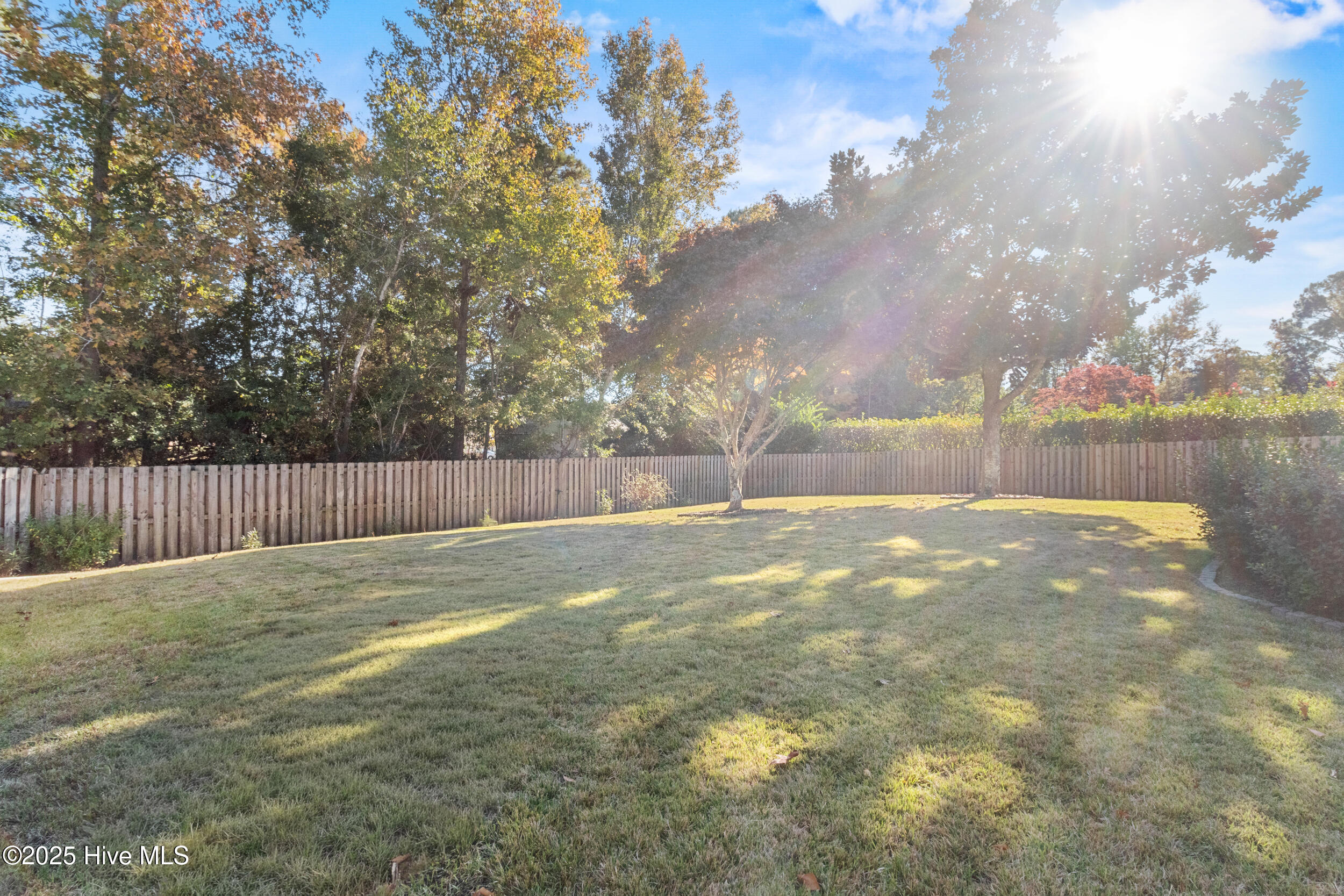 100541040 | Photo 36