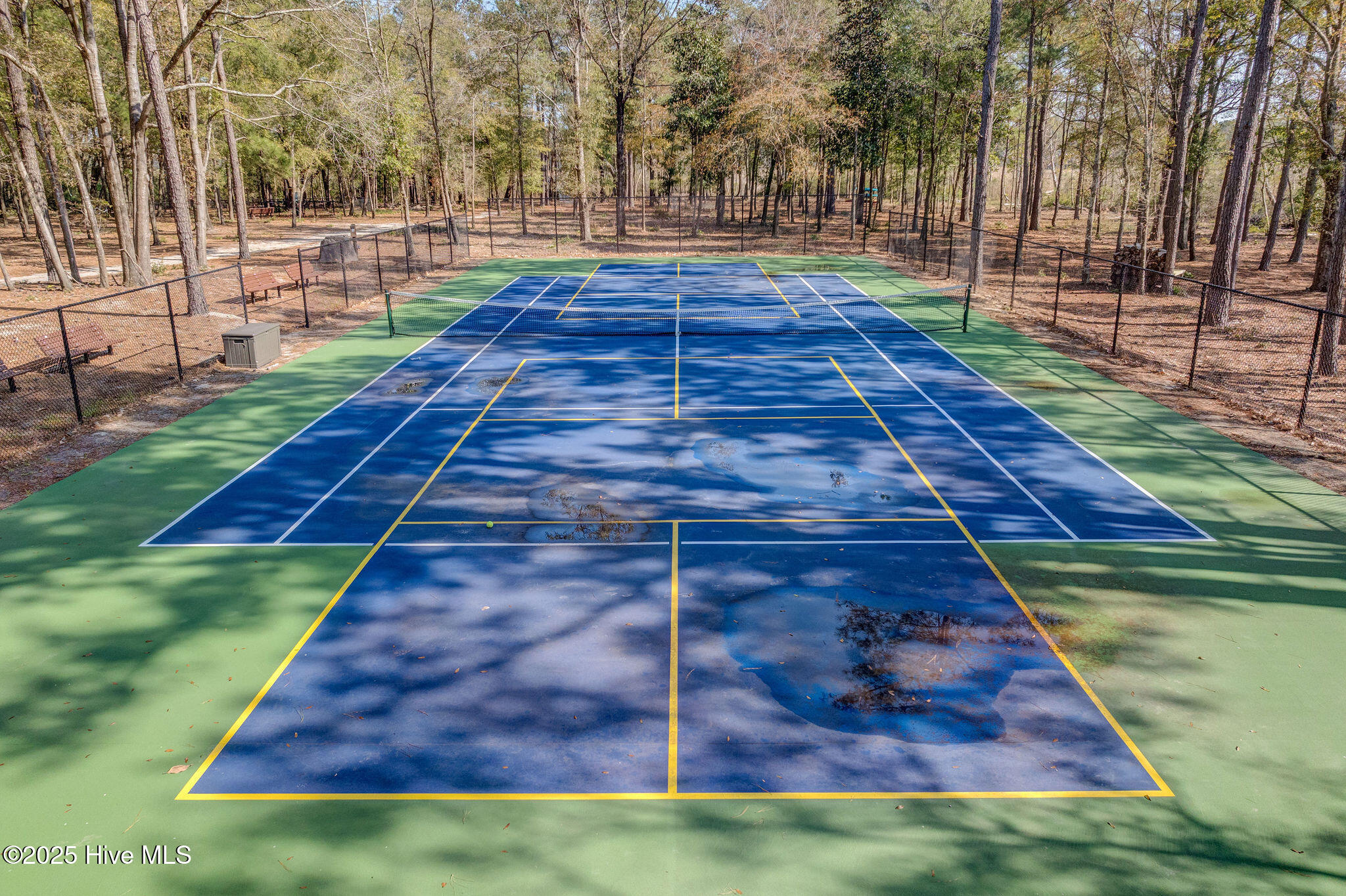 100537676 | Photo 19