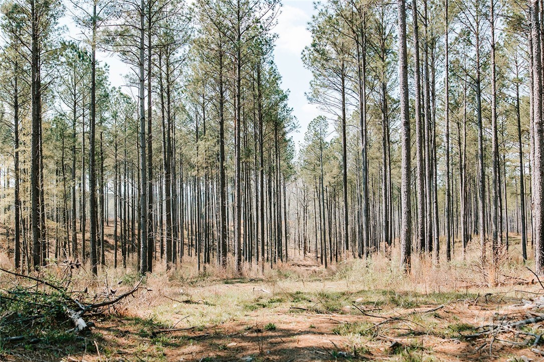0 Washington, Lexington, Georgia, 0 ,Land,For sale,Washington,CL352378