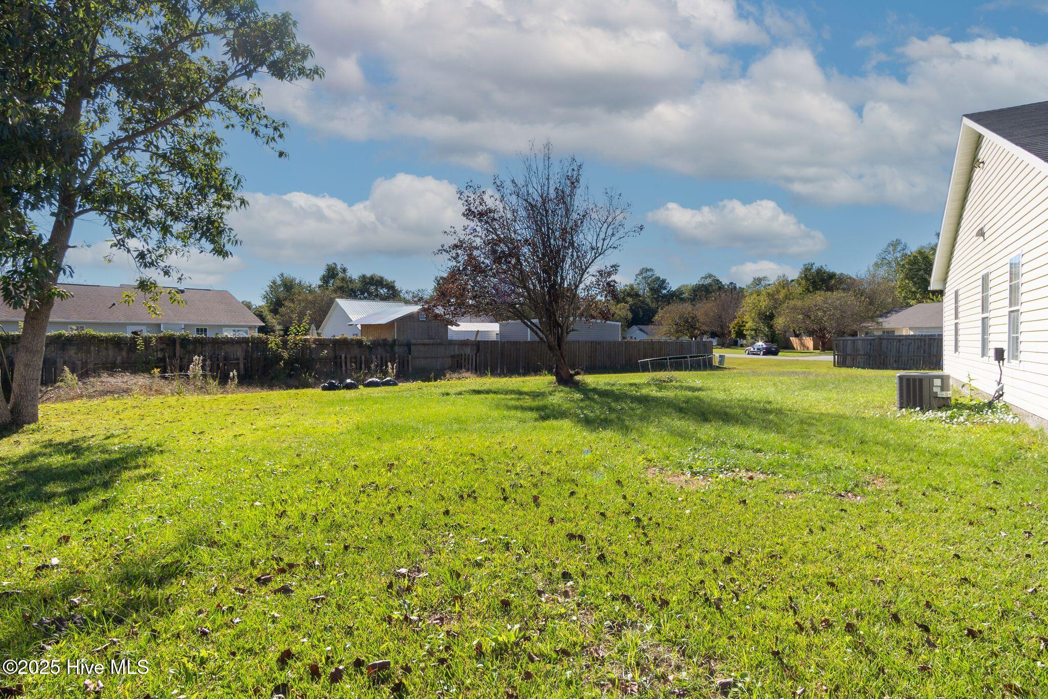 100537602 | Photo 29