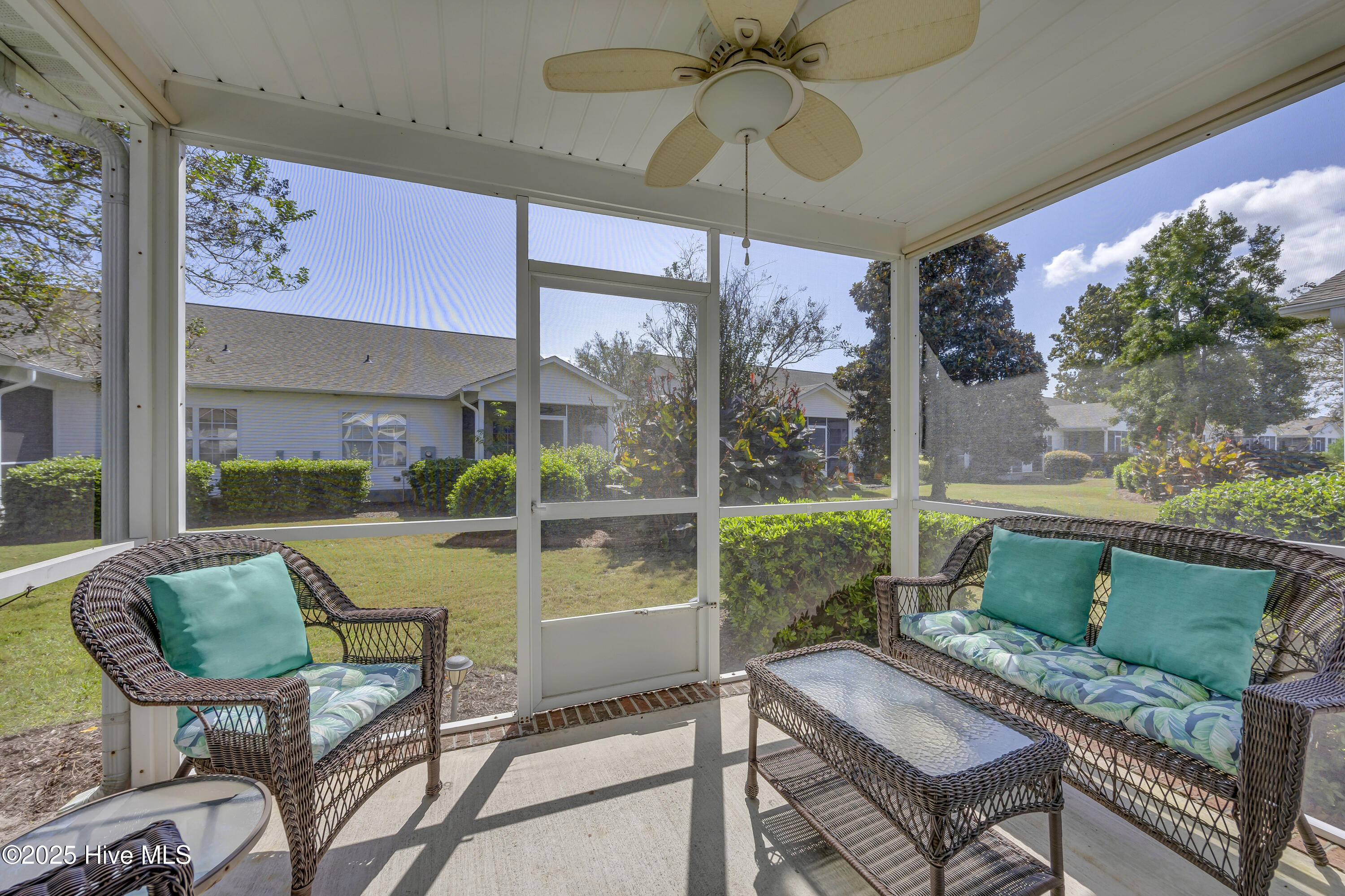 100534065 | Photo 24