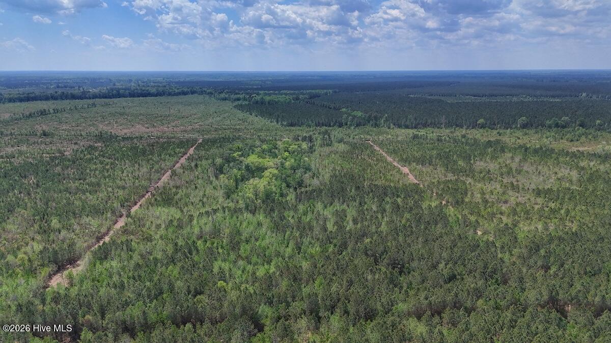 0 Guinea Mill Road, Ernul, NC, 28527