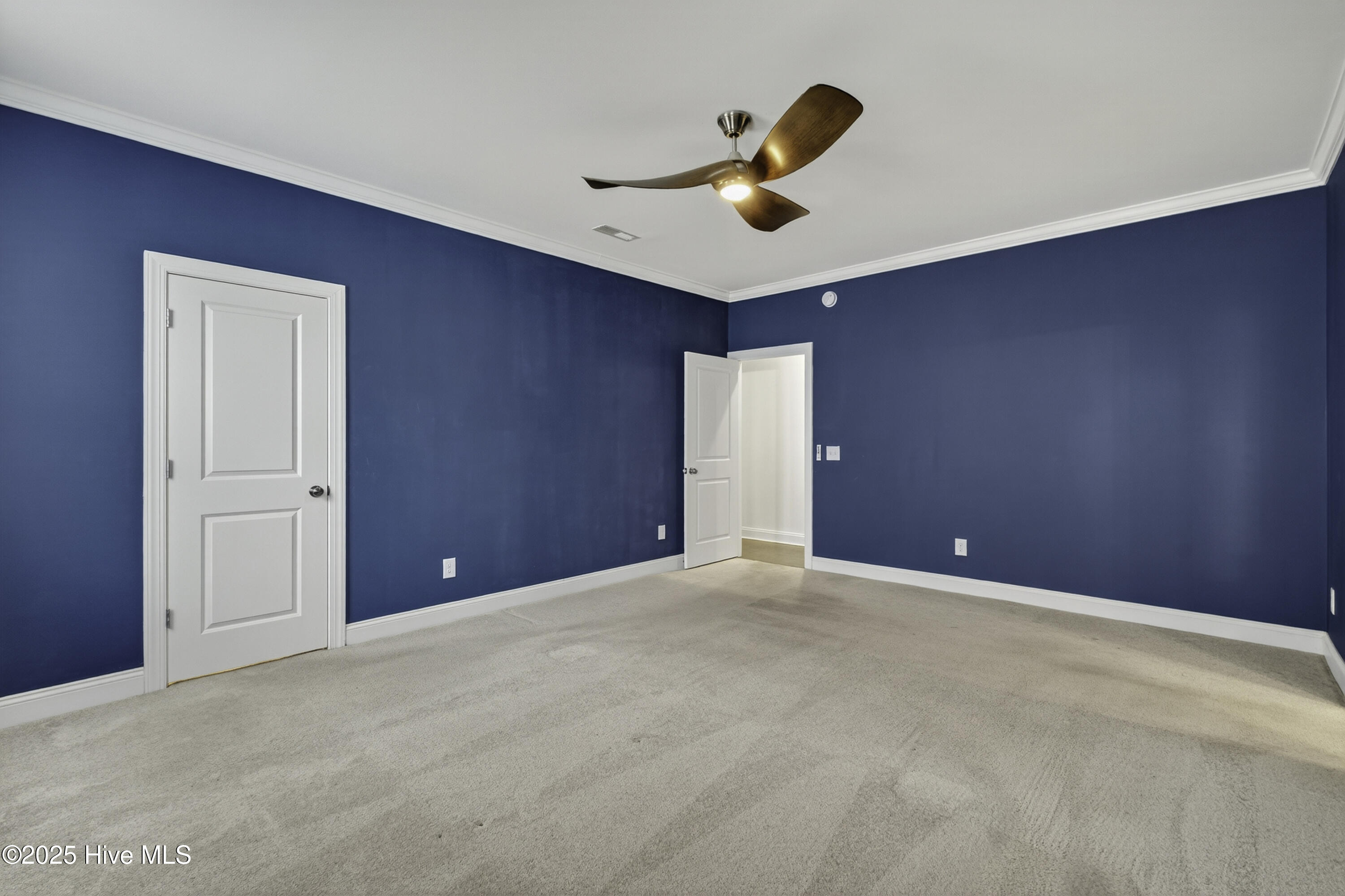 100536427 | Photo 28