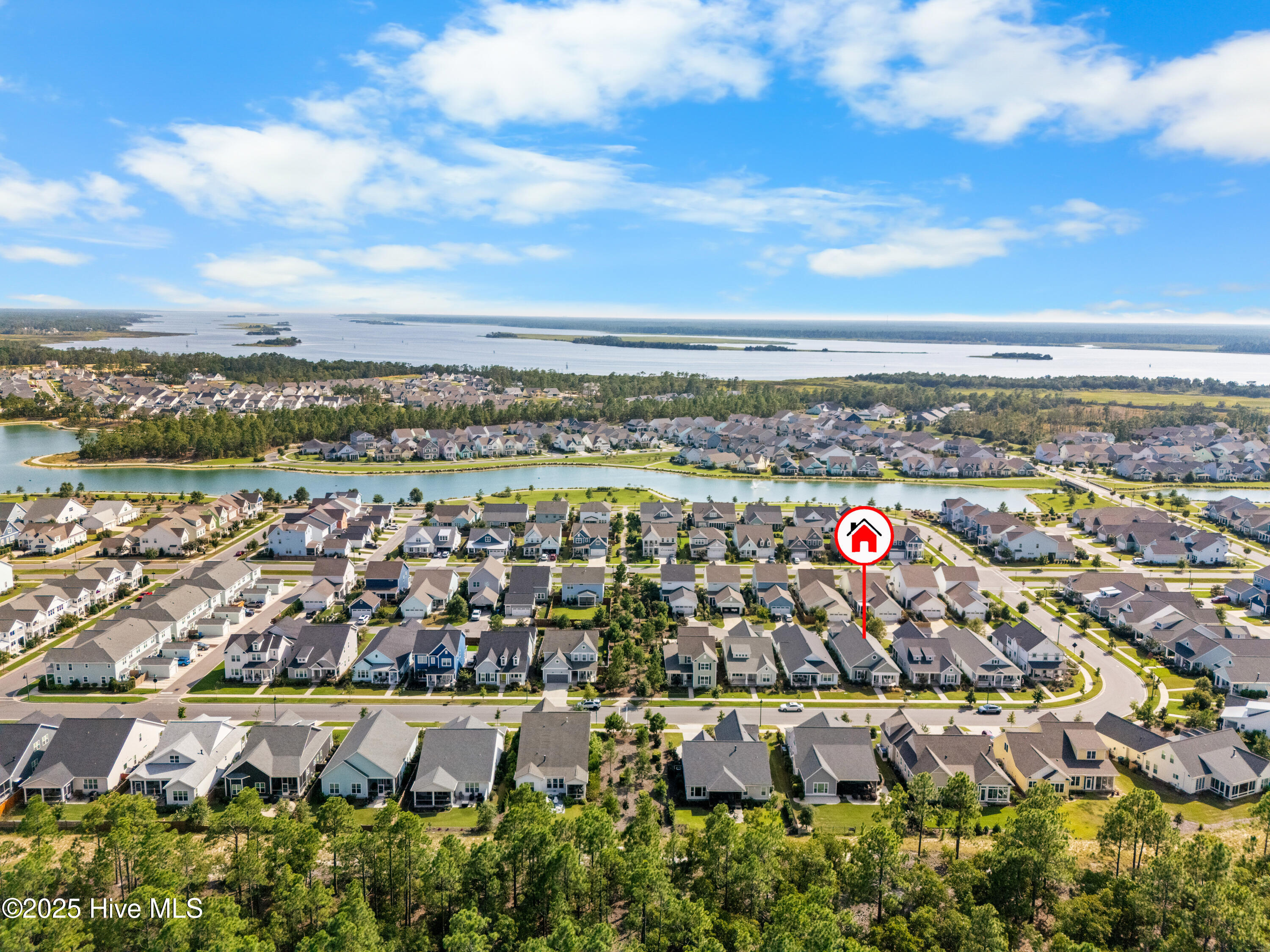 100526645 | Photo 39