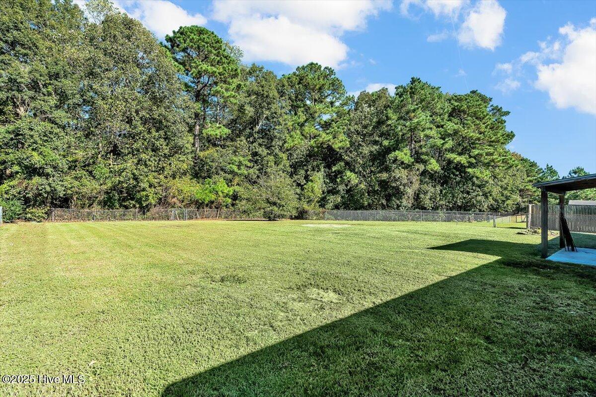 100538158 | Photo 14