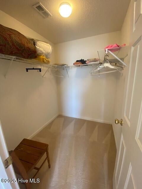 100565753 | Photo 20