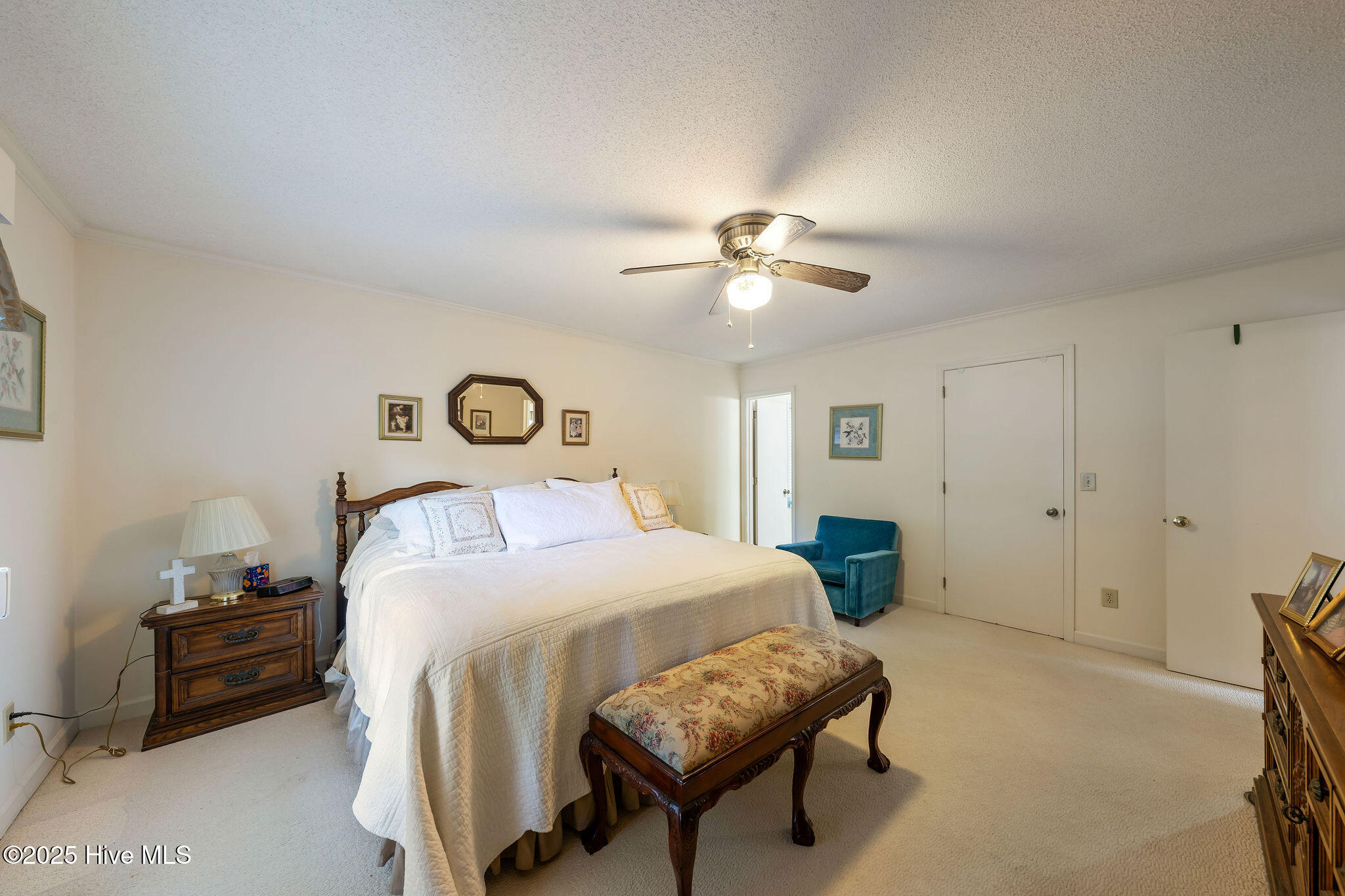 100542635 | Photo 19