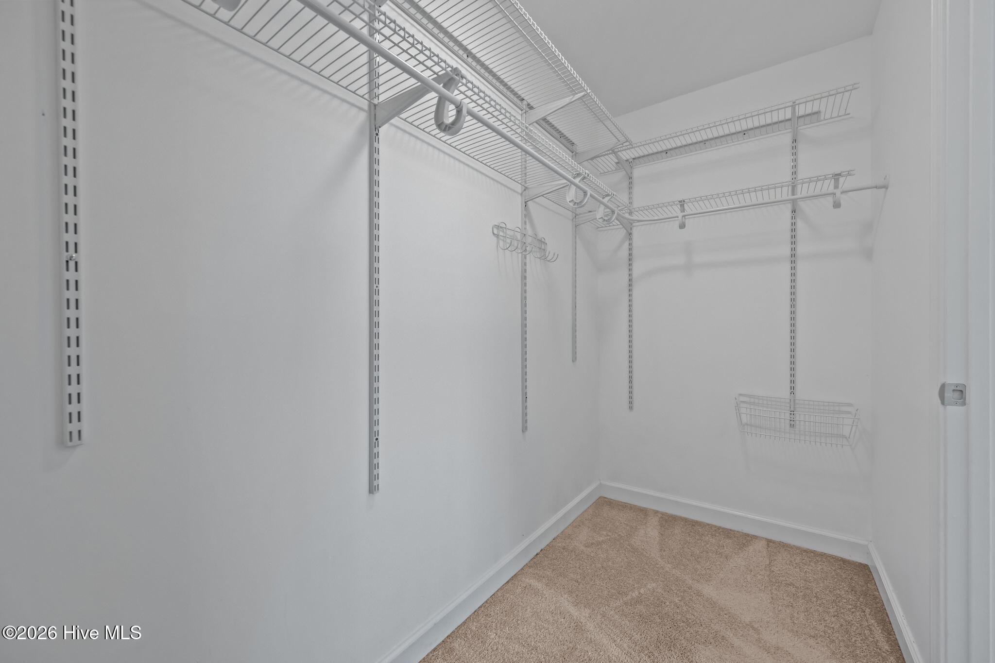 100570344 | Photo 28