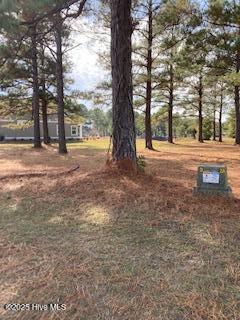 Homes for sale in Sunset Beach, NC | 1012 Crosby Cir Sw, Sunset Beach, NC 28468 | MLS# 100544275