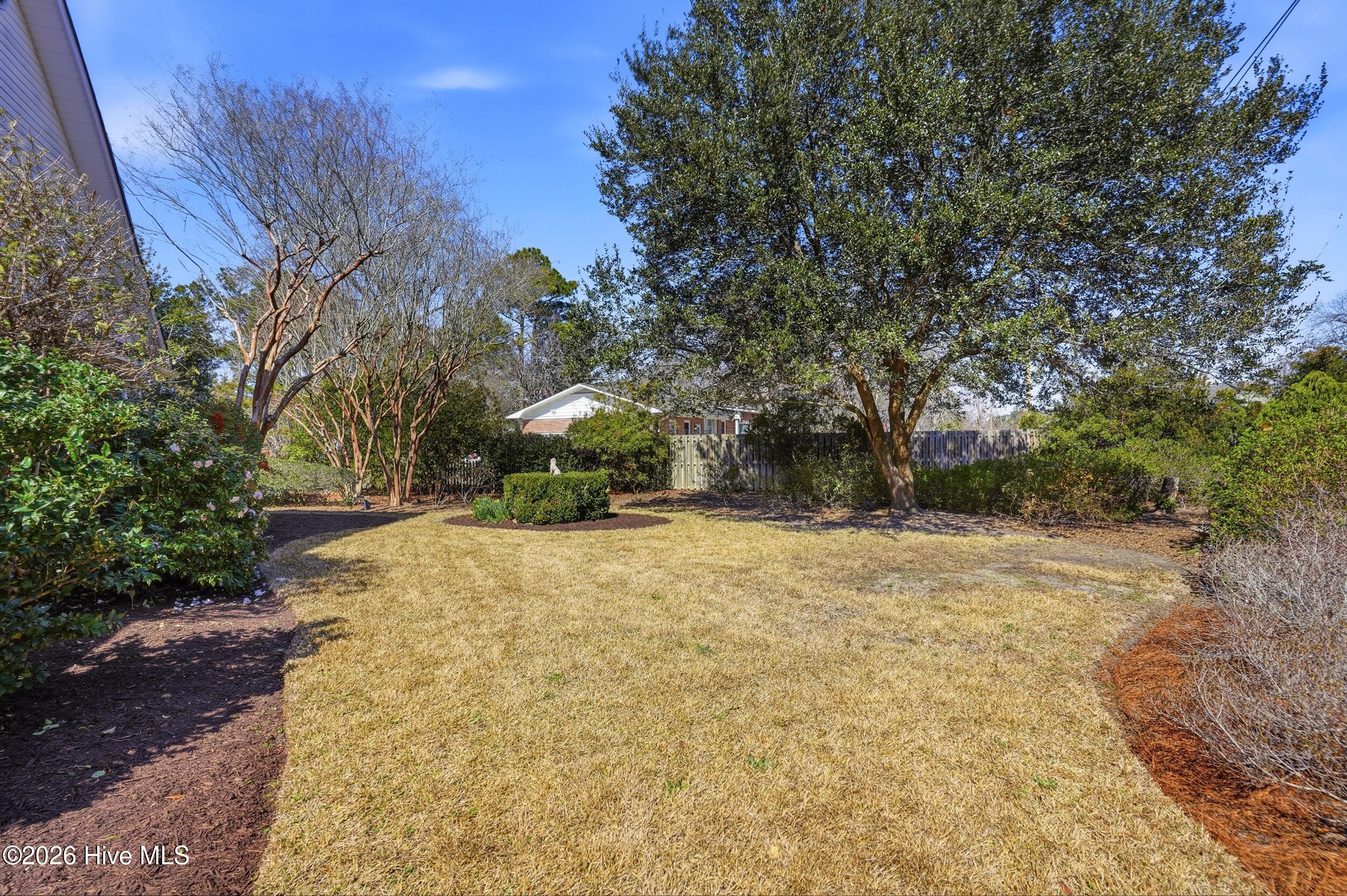 100556921 | Photo 45