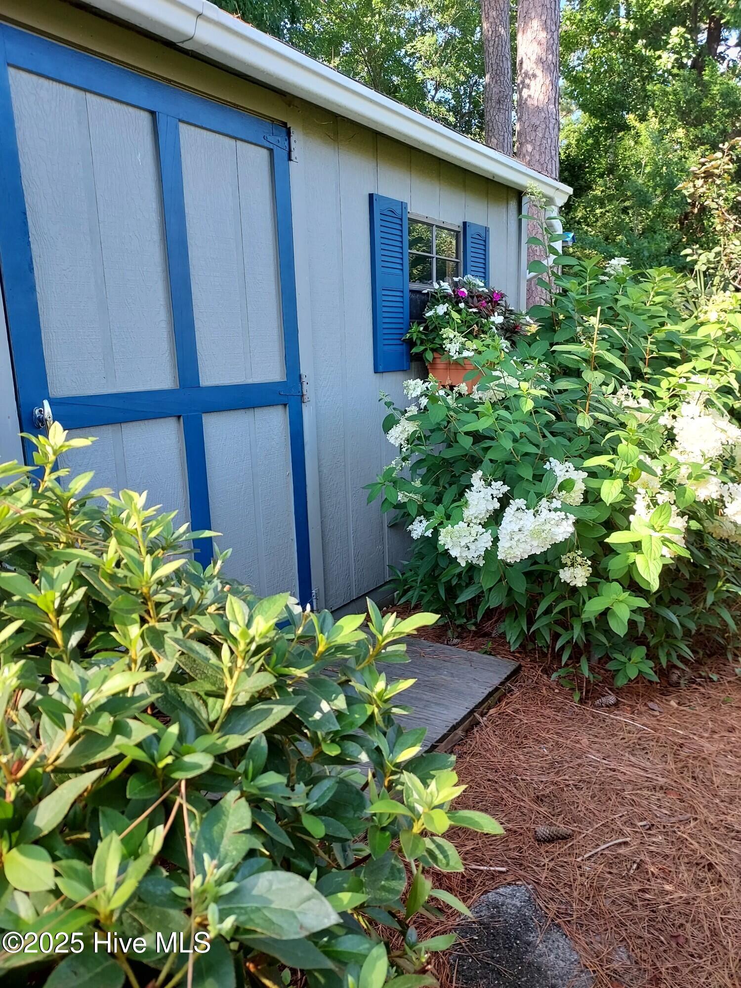 100537992 | Photo 50