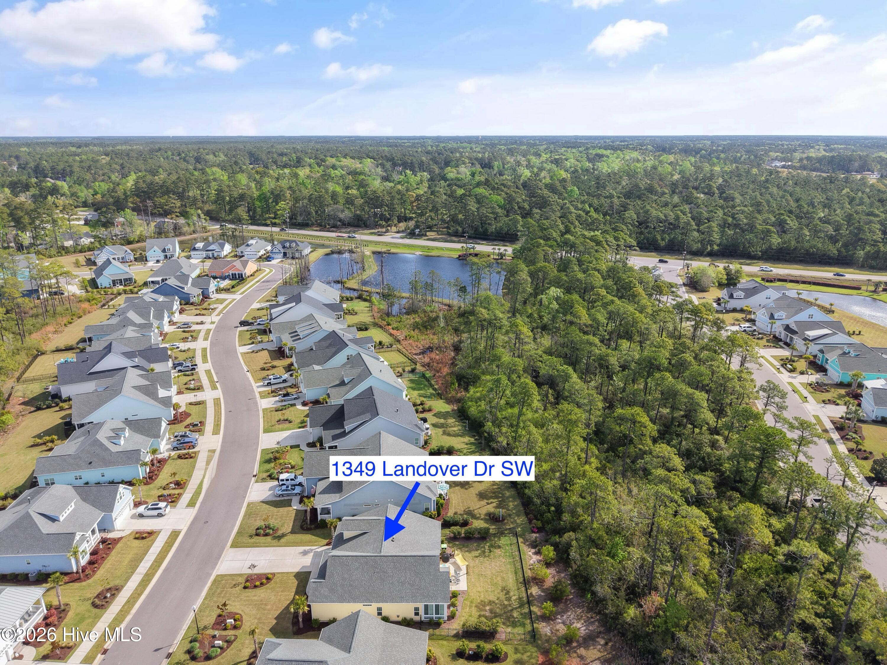 100566064 | Photo 61