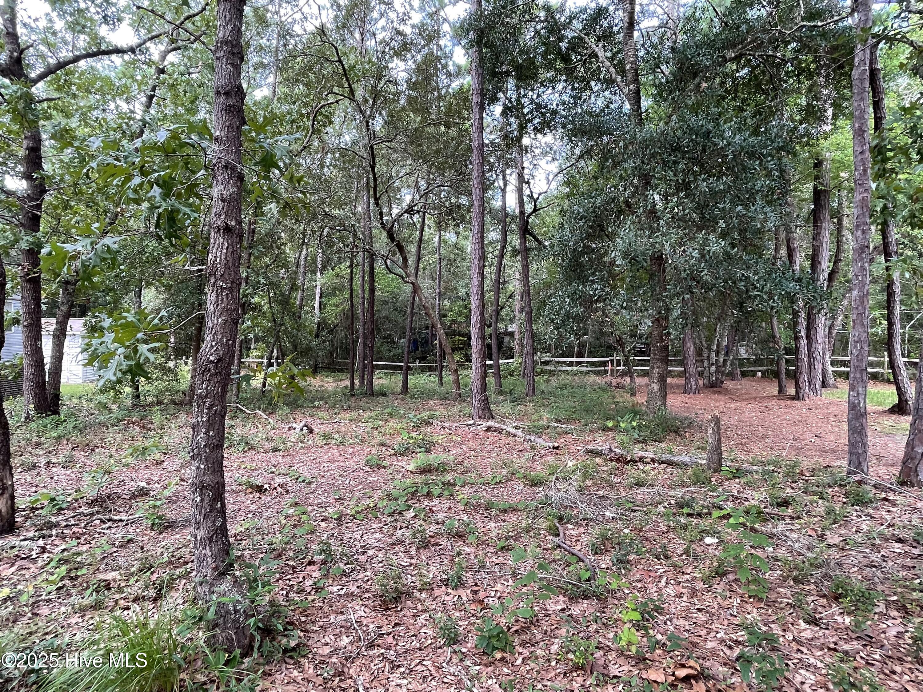 100526164 | Photo 13