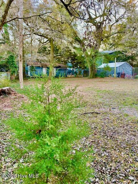 100558842 | Photo 15