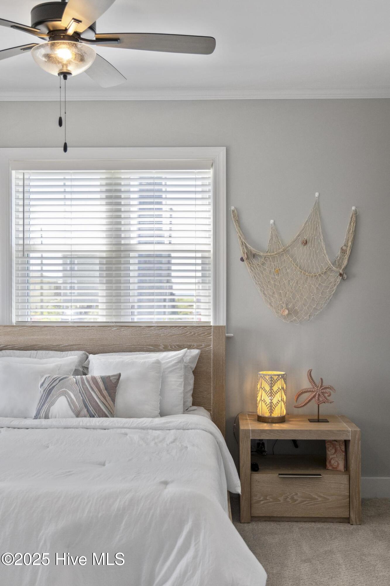 100498543 | Photo 82