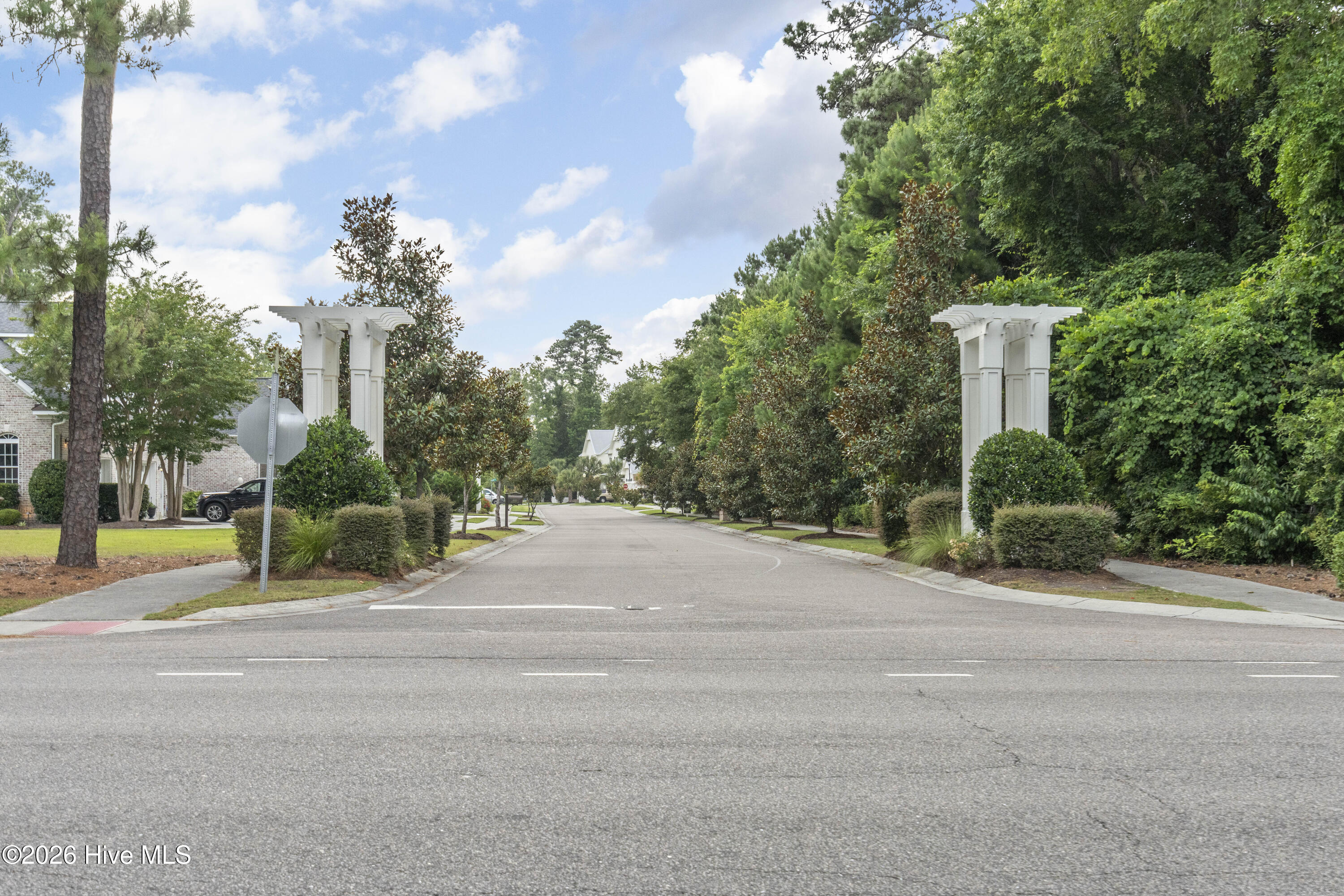 100565220 | Photo 82