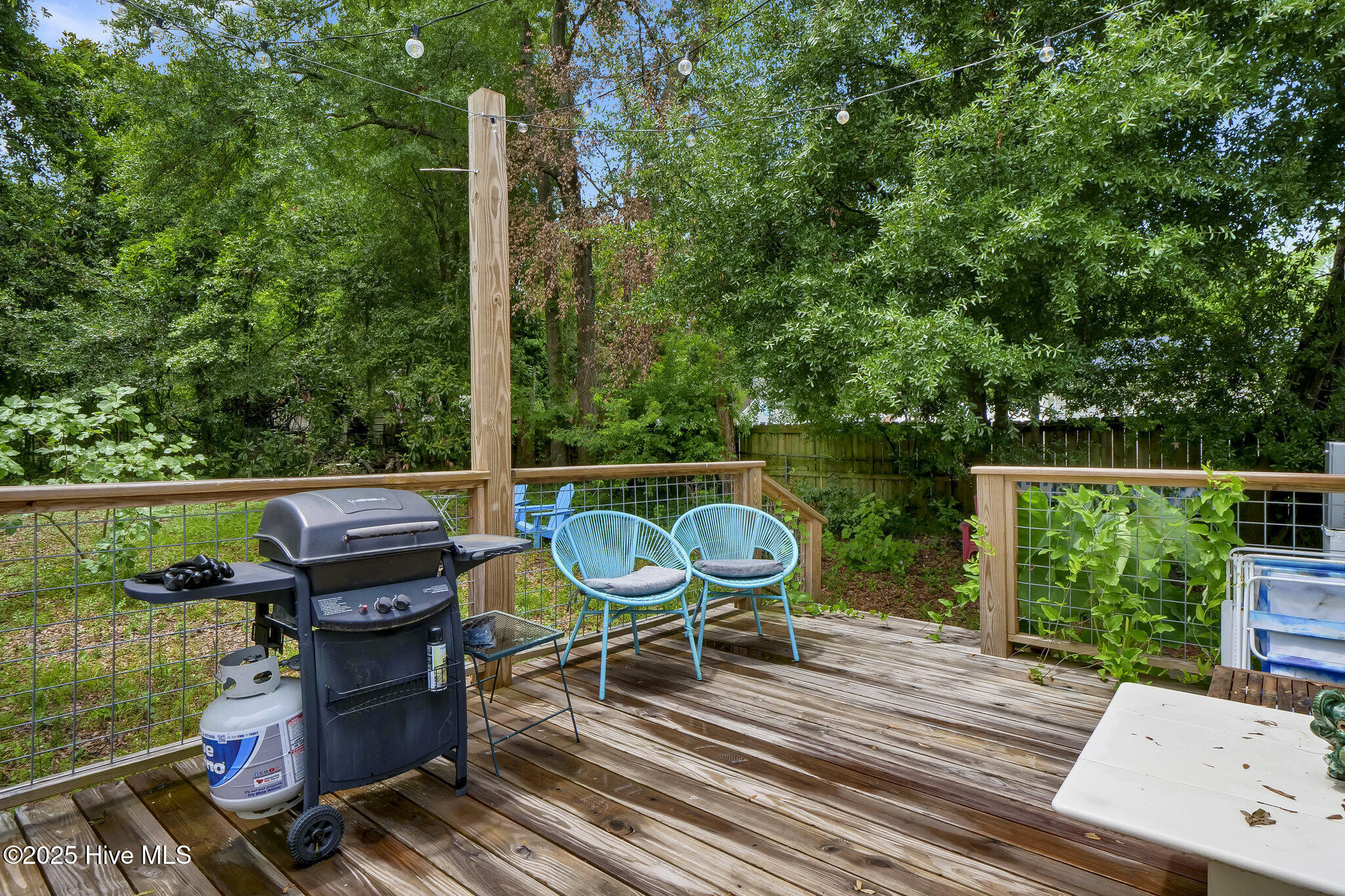 100513578 | Photo 22