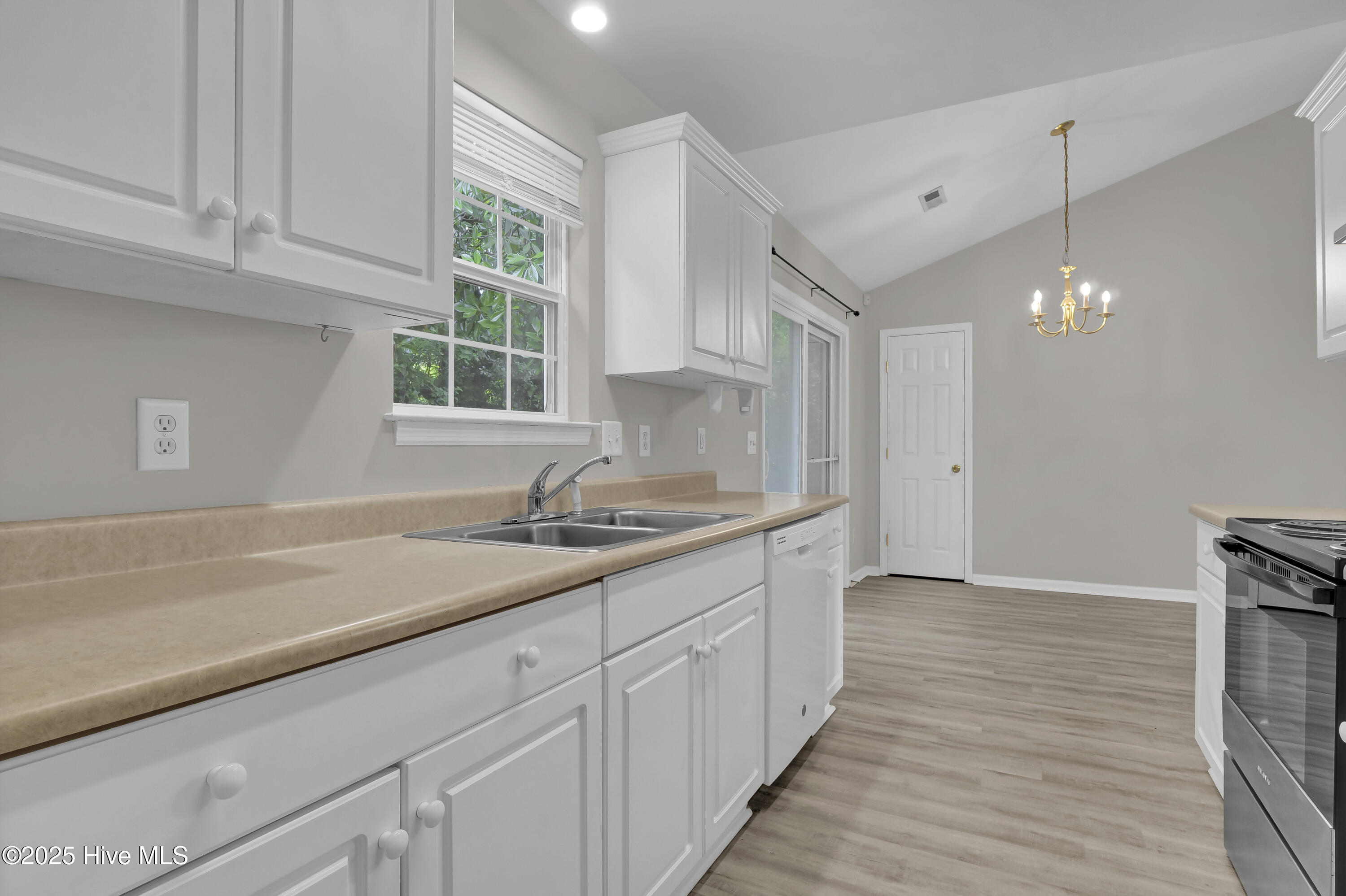 100517859 | Photo 12