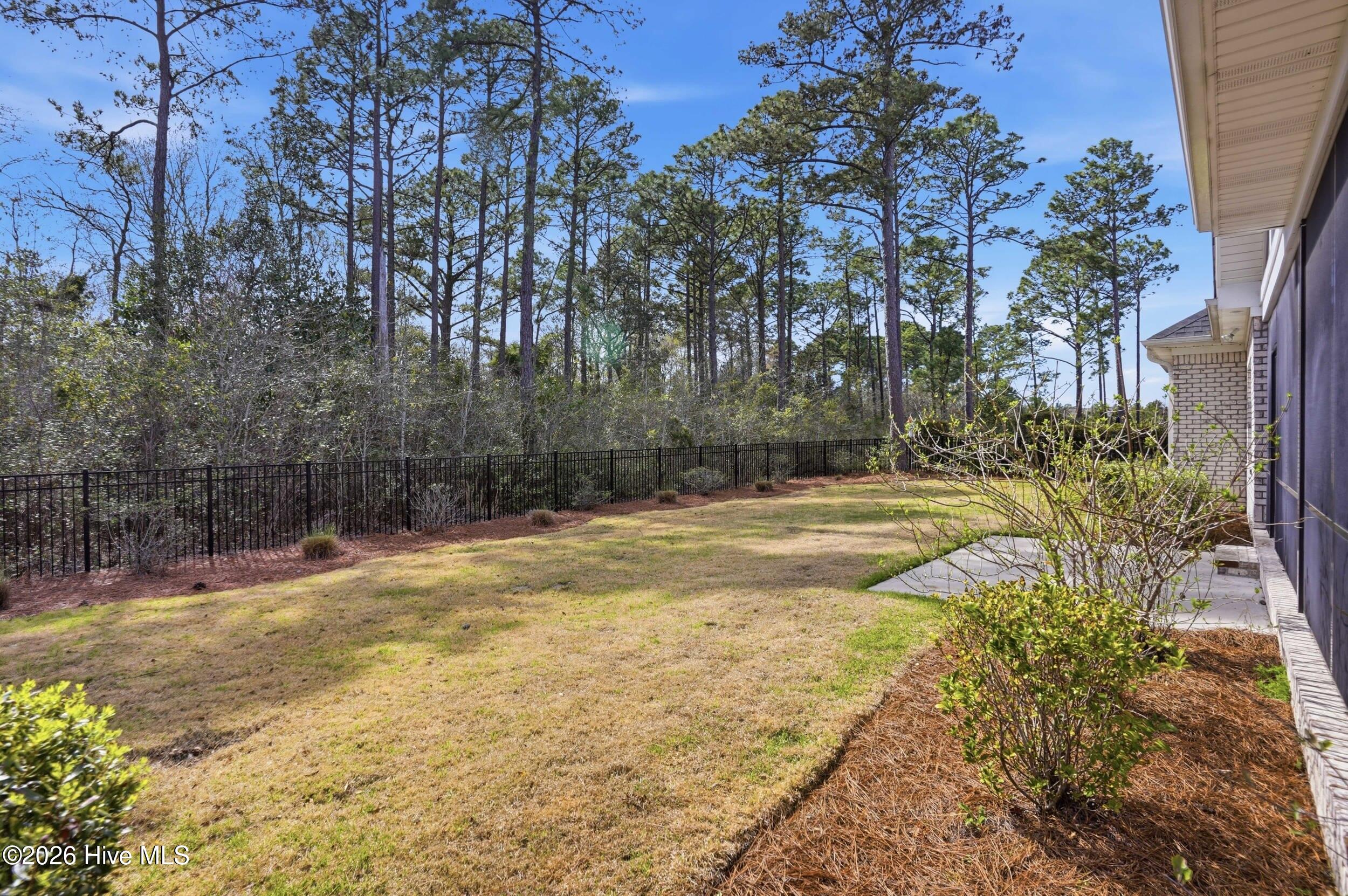 100561233 | Photo 50