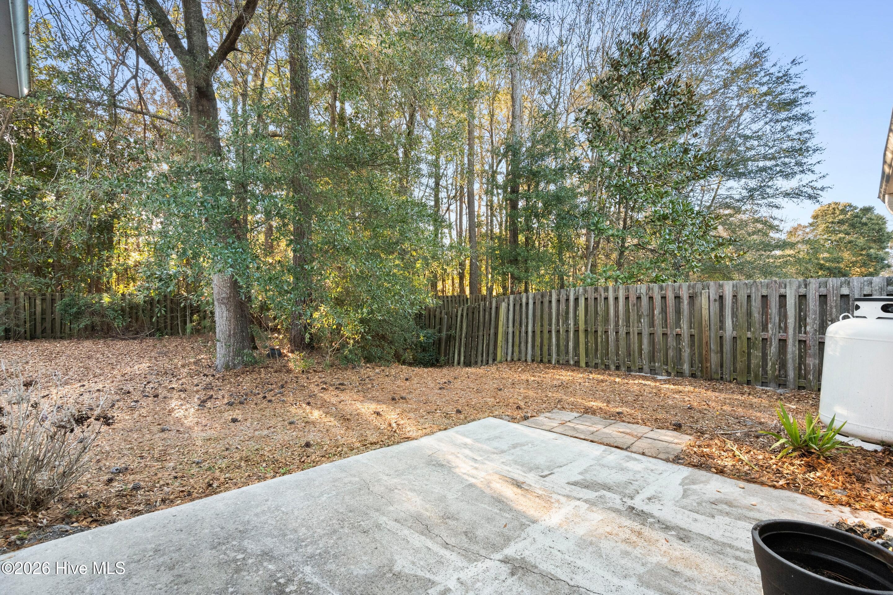 100549655 | Photo 46