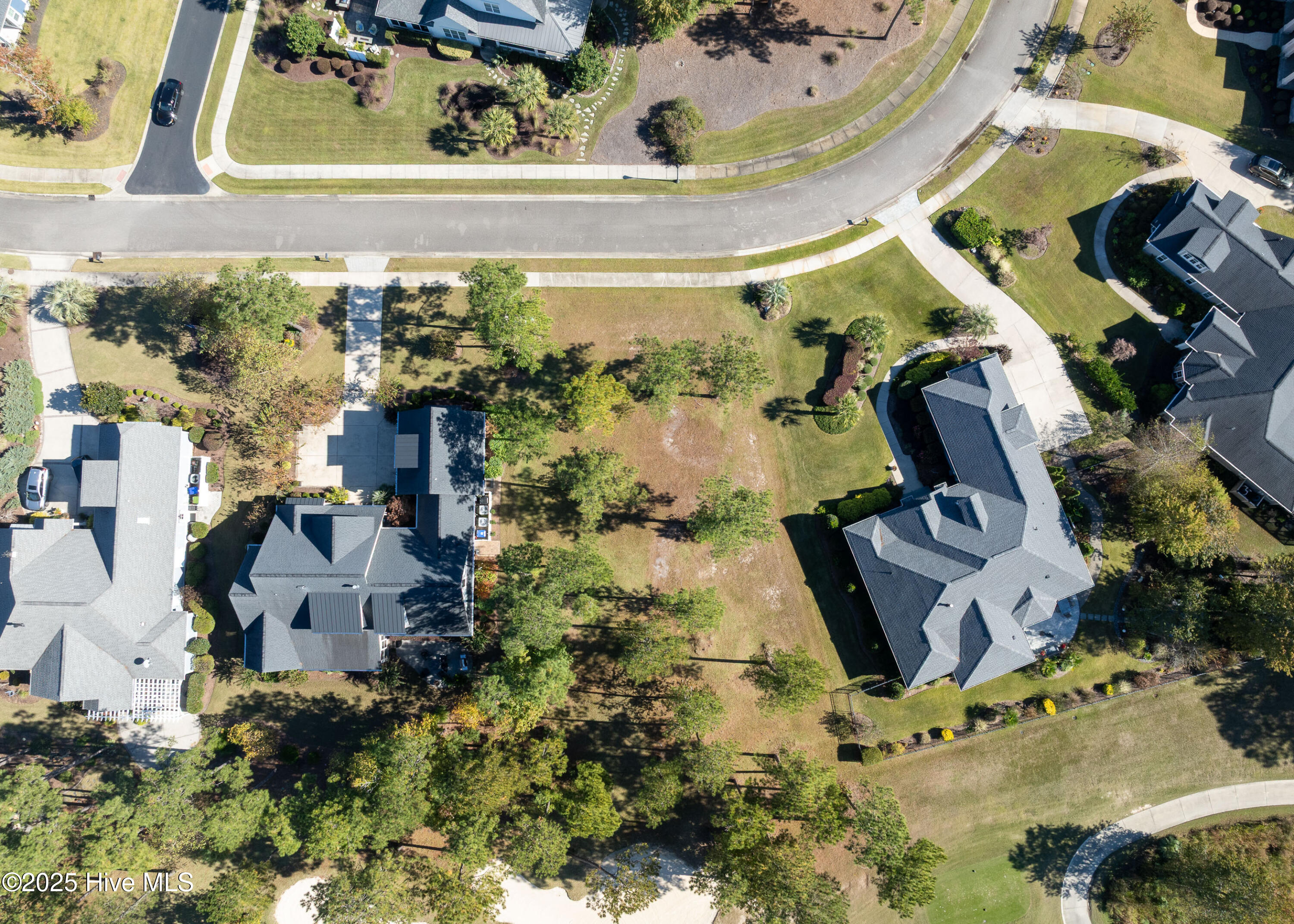 100539491 | Photo 10