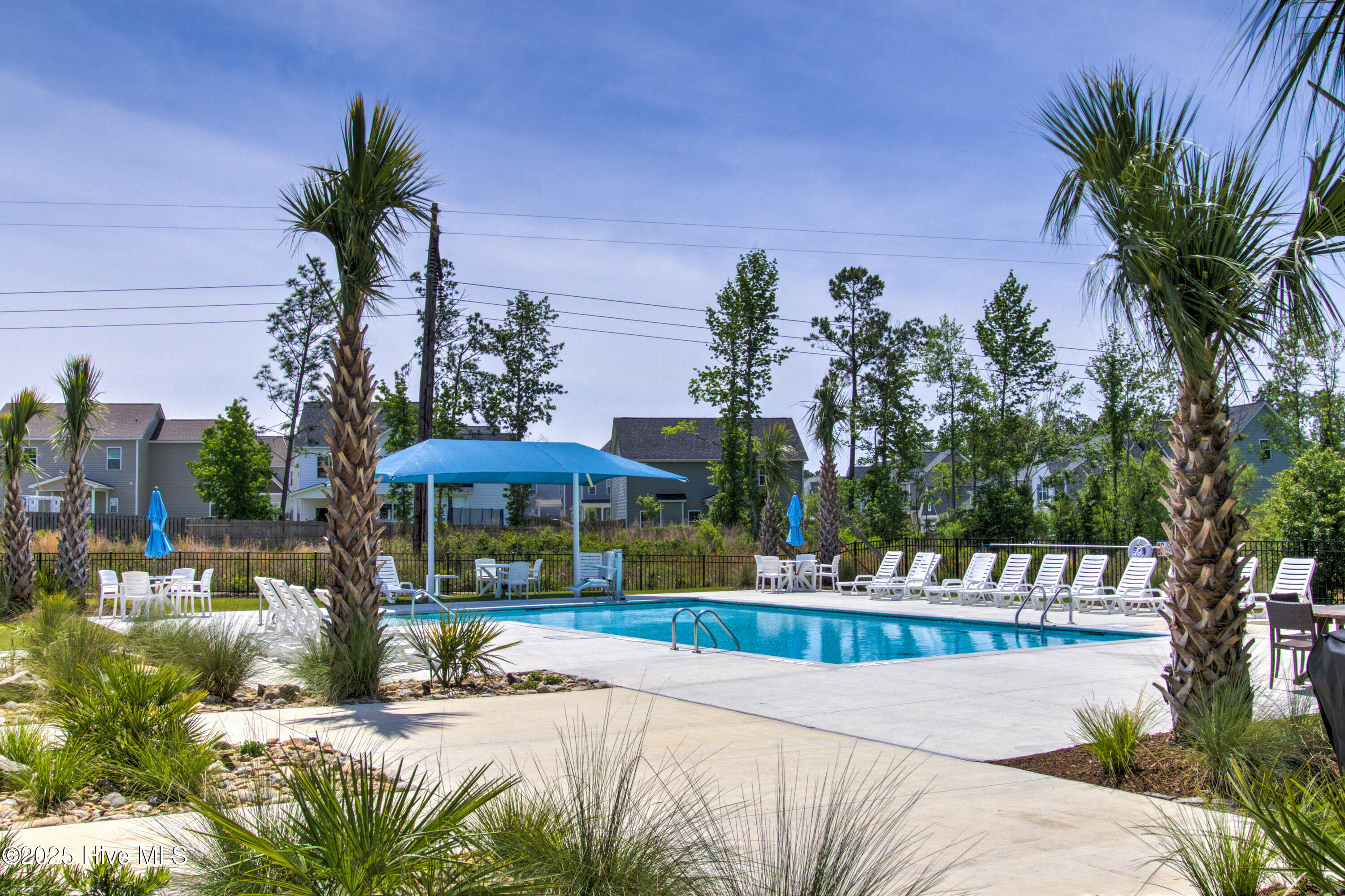 100538421 | Photo 34