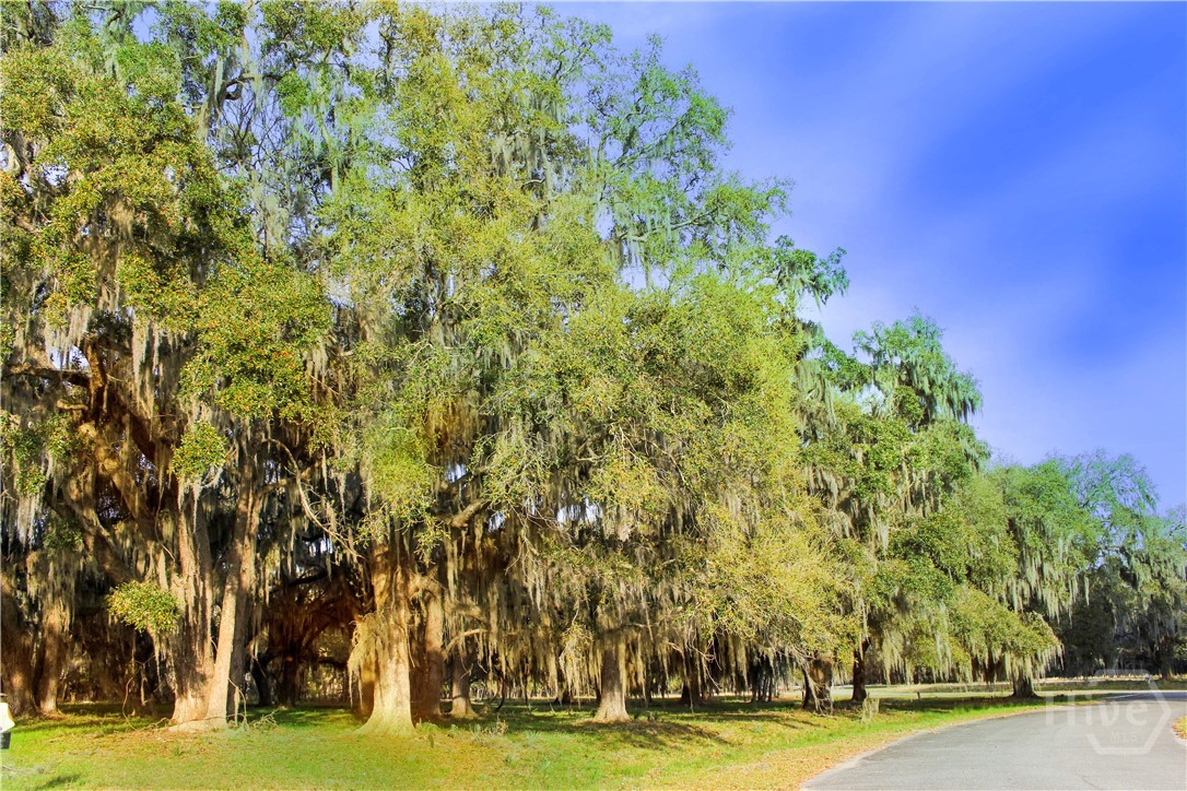 1 William's (36 lots 95 acres) Retreat, Savannah, GA, 31419