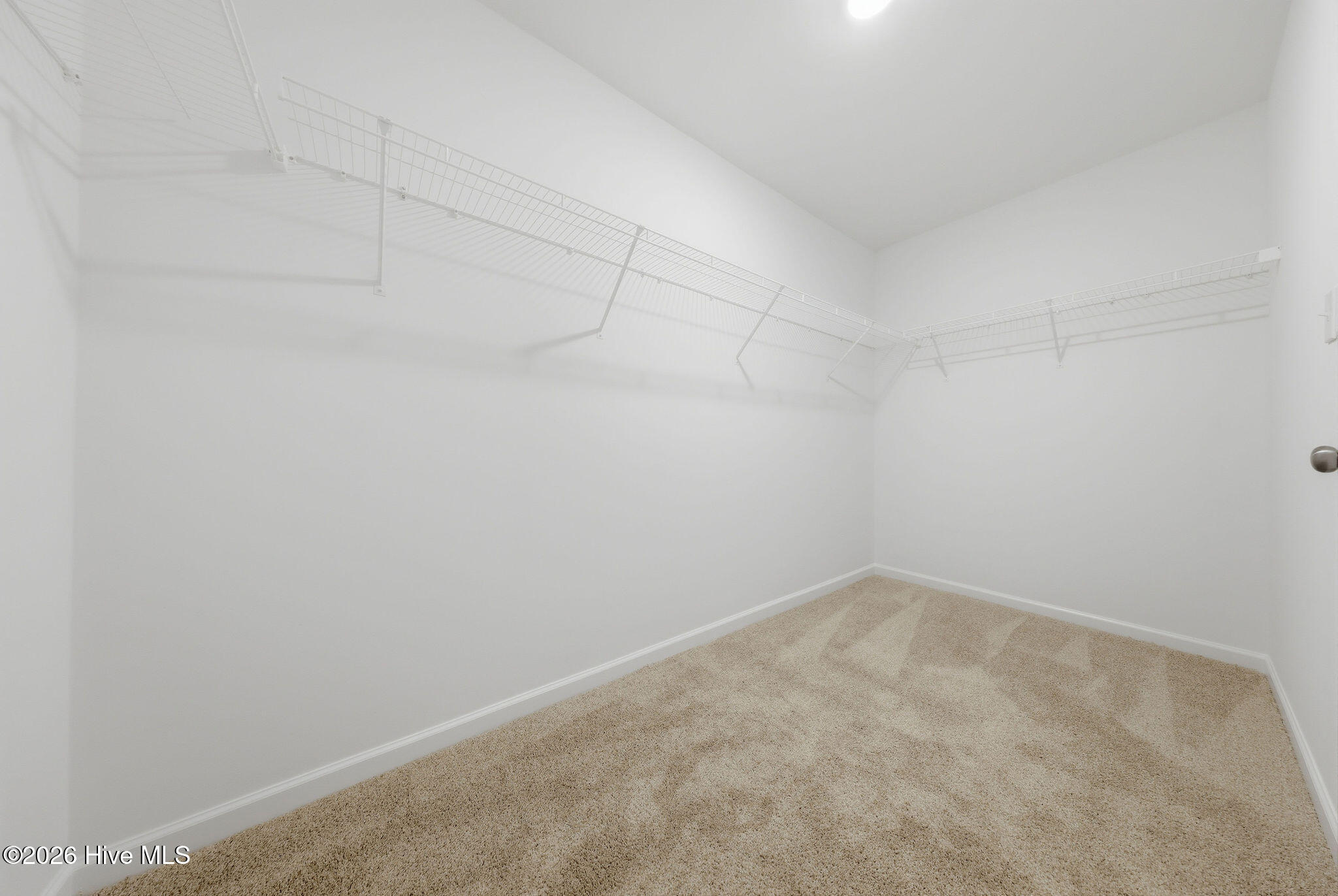 100554240 | Photo 33