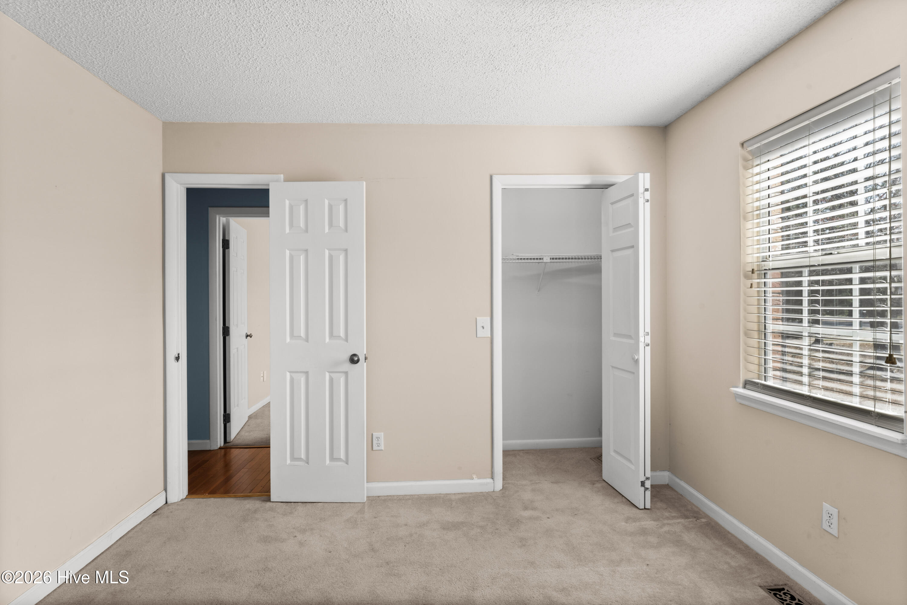 100558739 | Photo 29