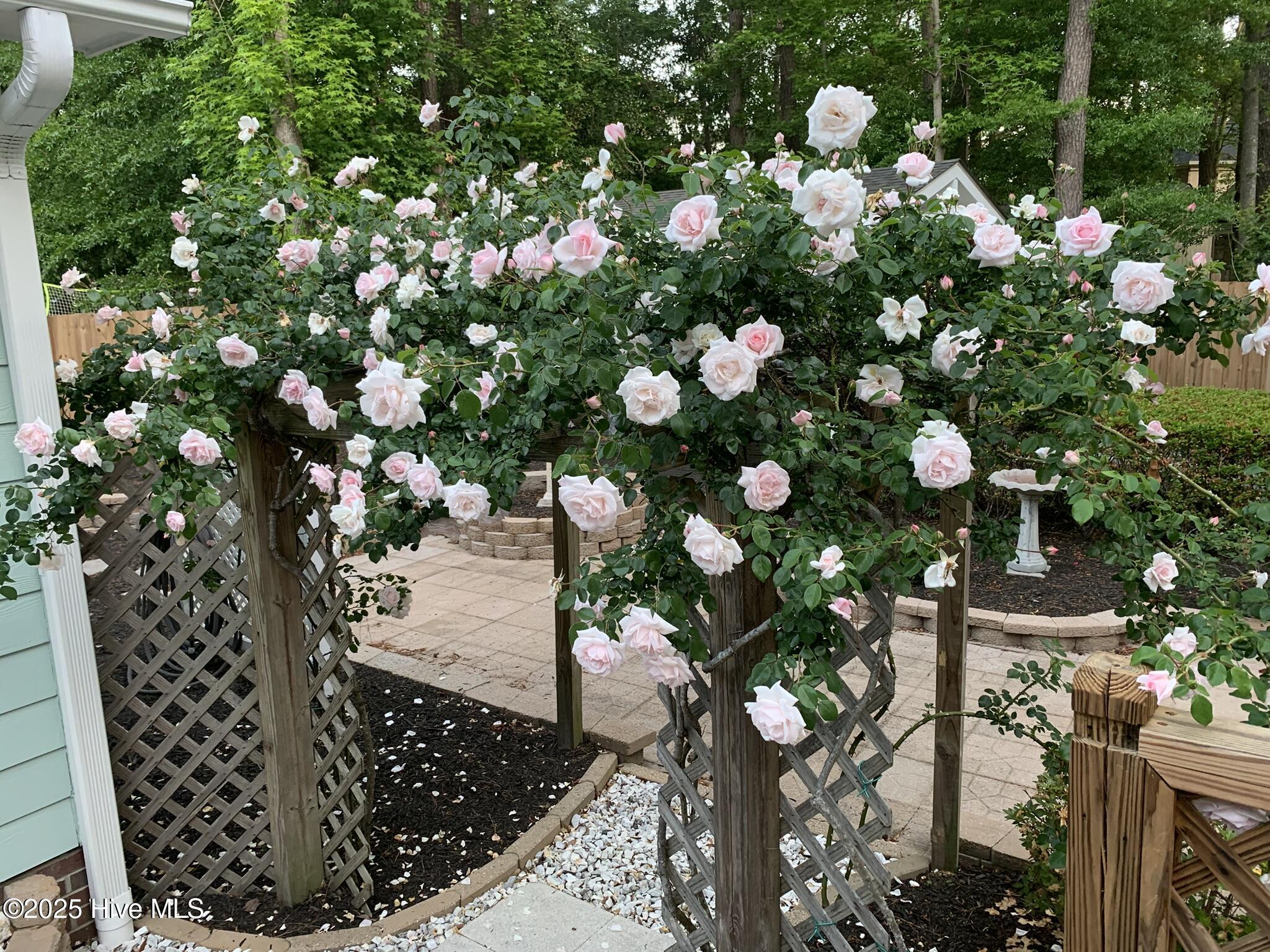 100545270 | Photo 29