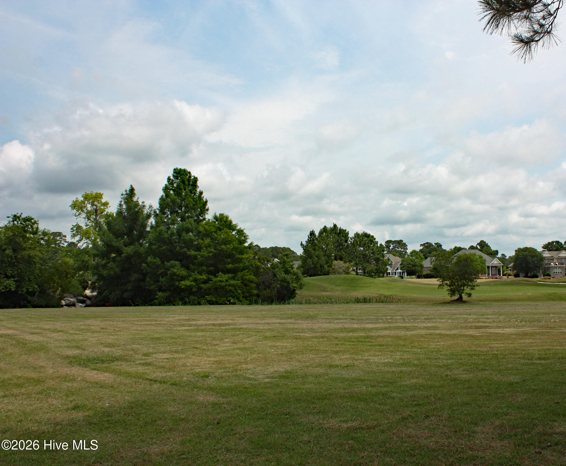 100580630 | Photo 2