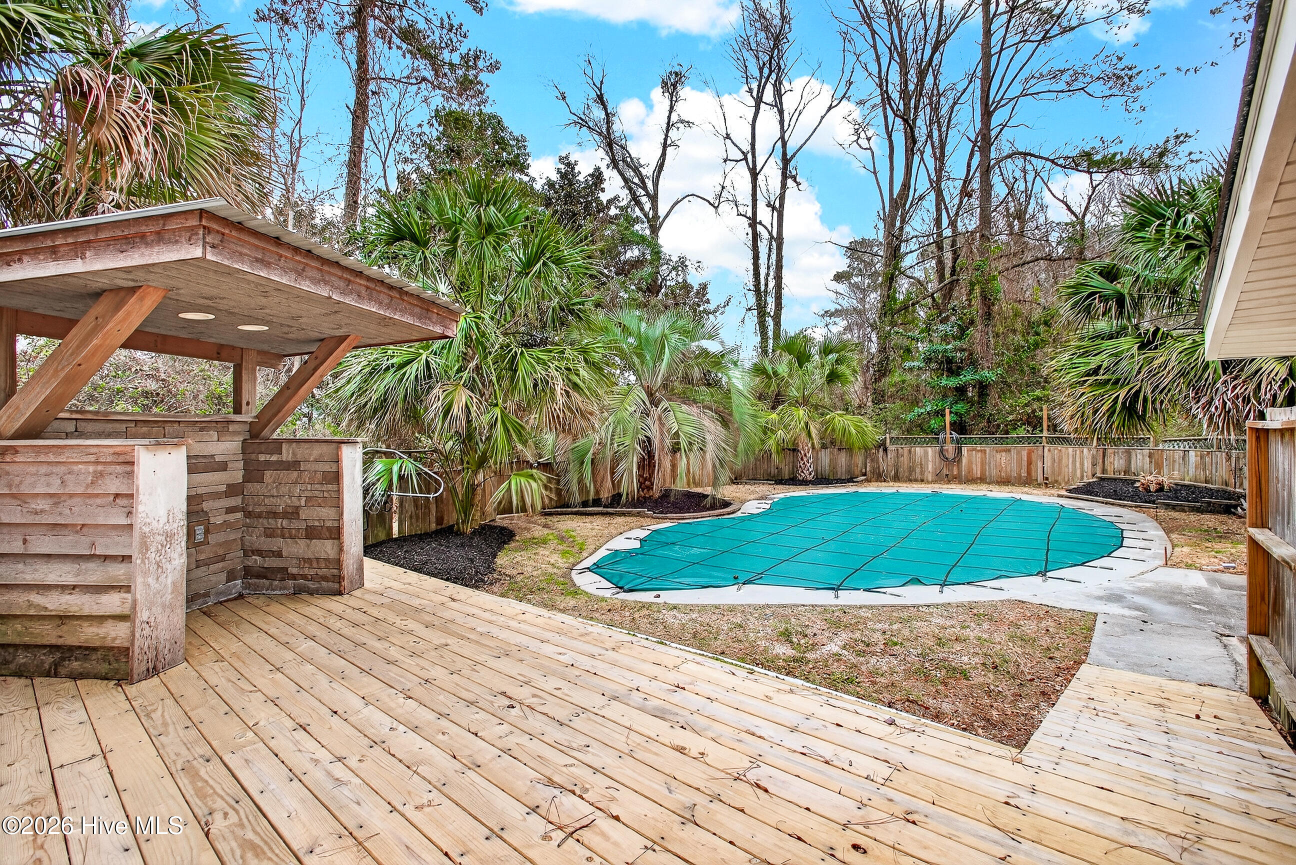 100558512 | Photo 36