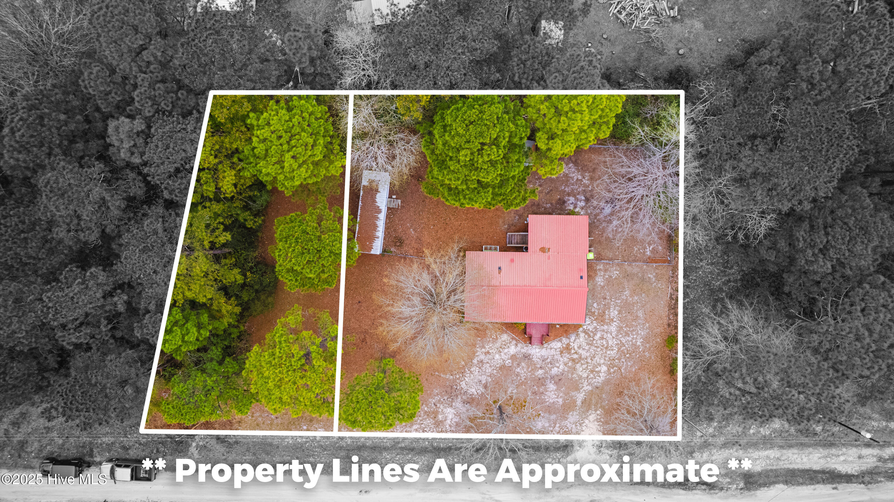 100543288 | Photo 57