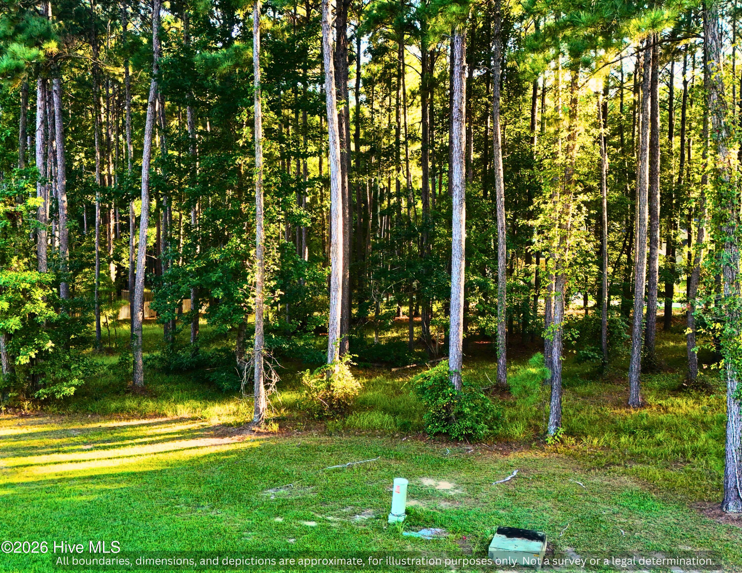 0000-0000 LOT 83 Mill Creek Drive,Minnesott Beach
