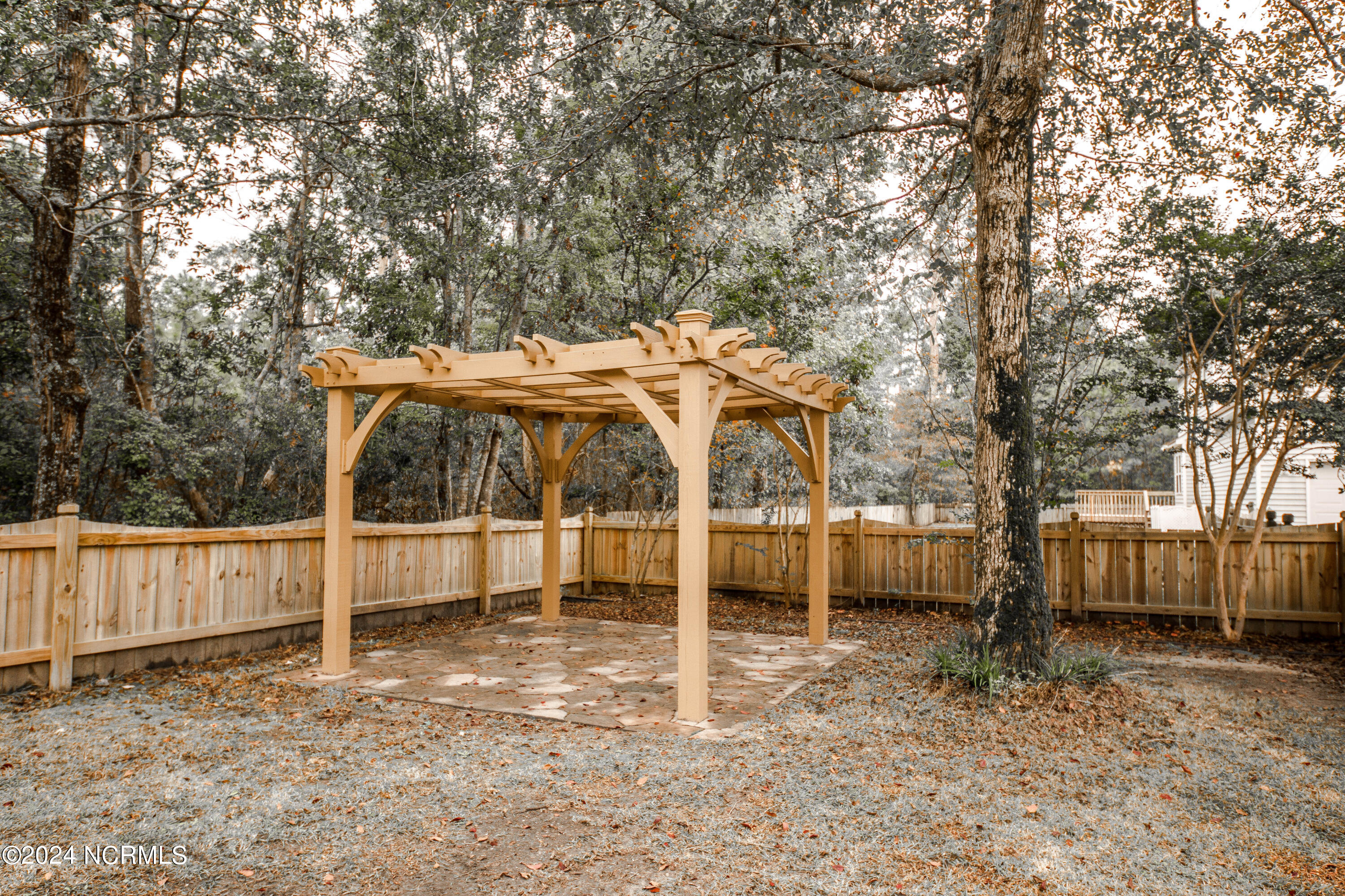 100566053 | Photo 10