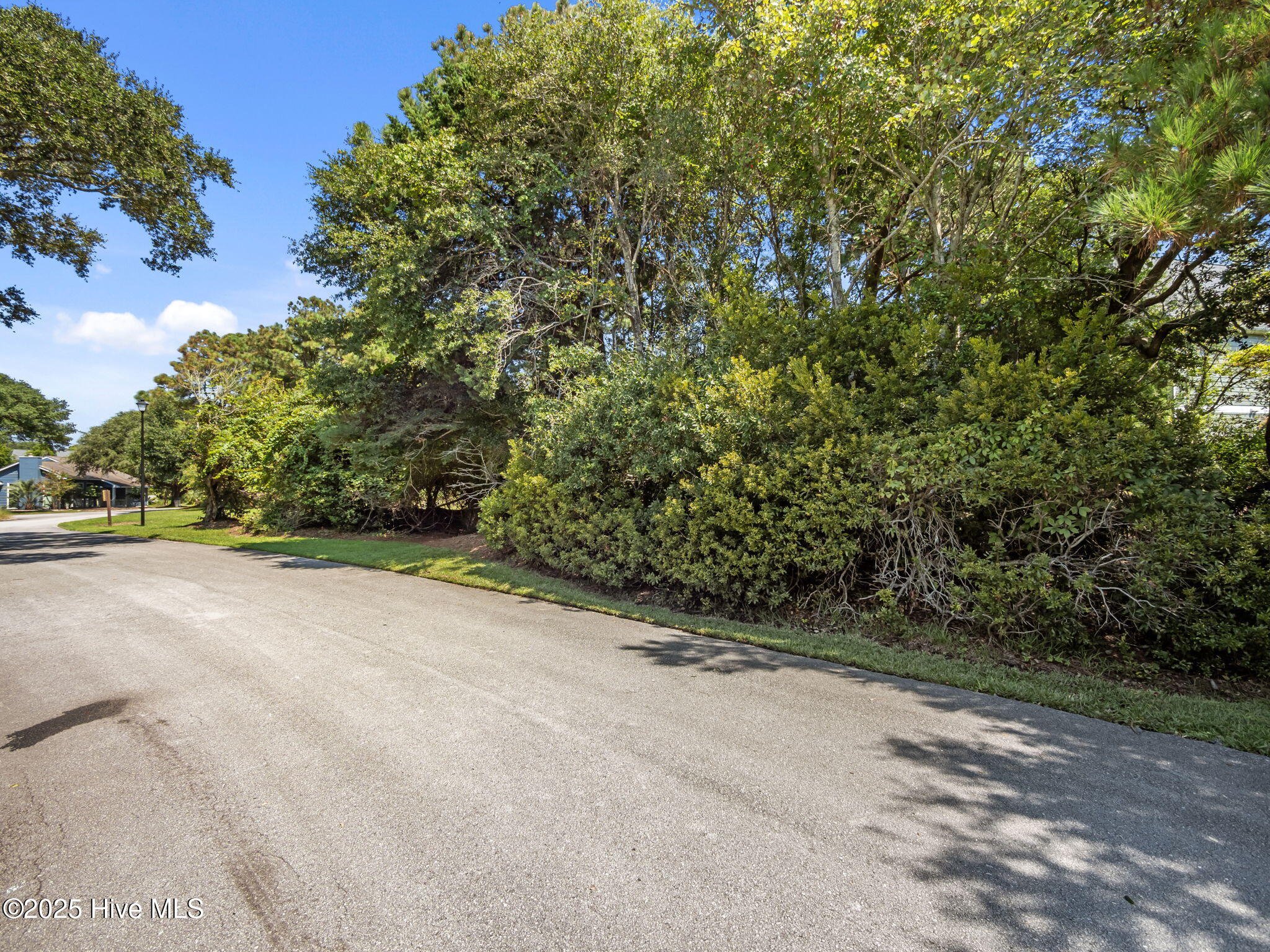 100525886 | Photo 22