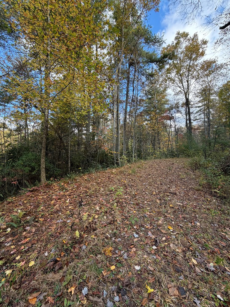 Cleared access road