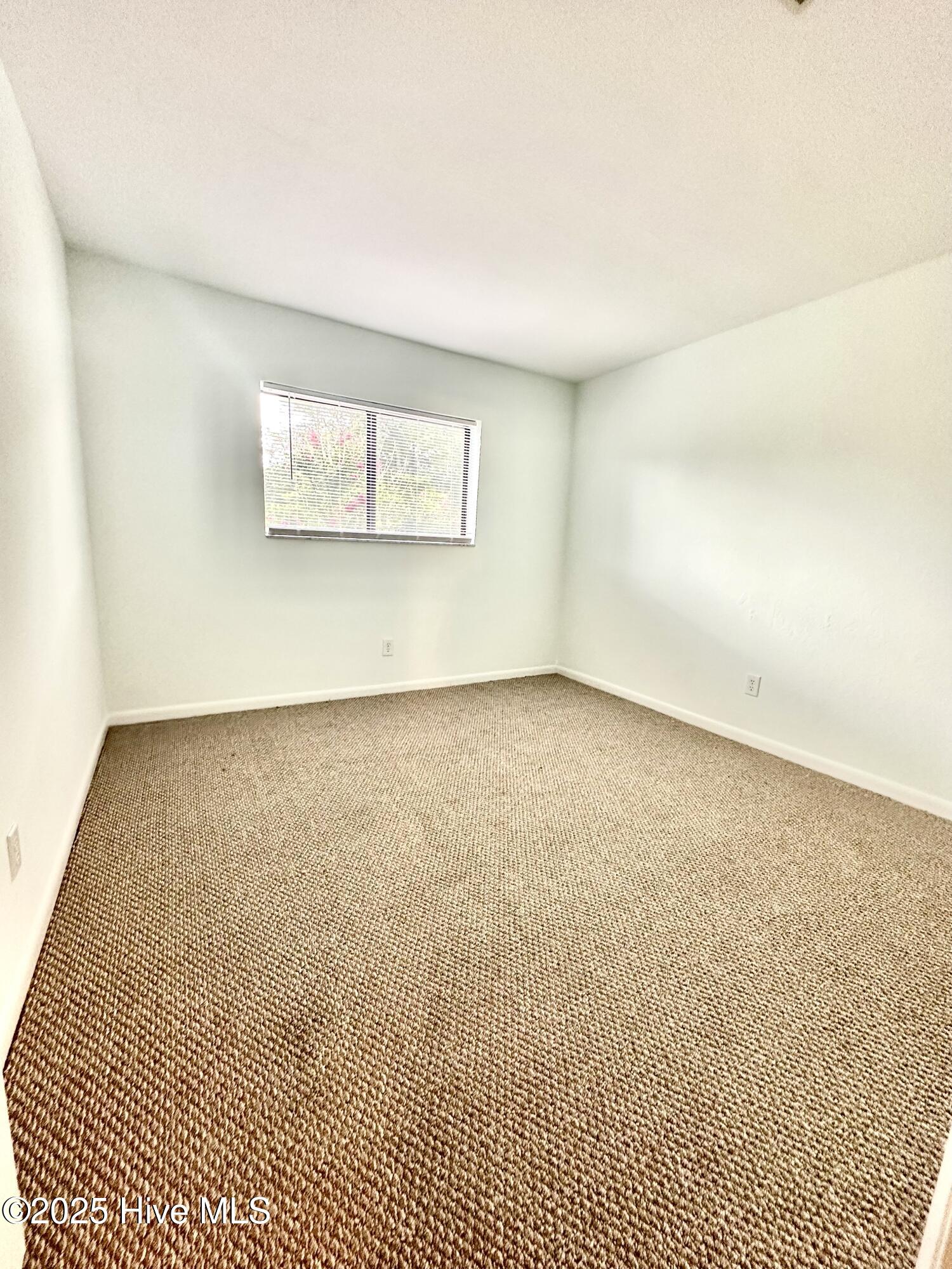 100493432 | Photo 13