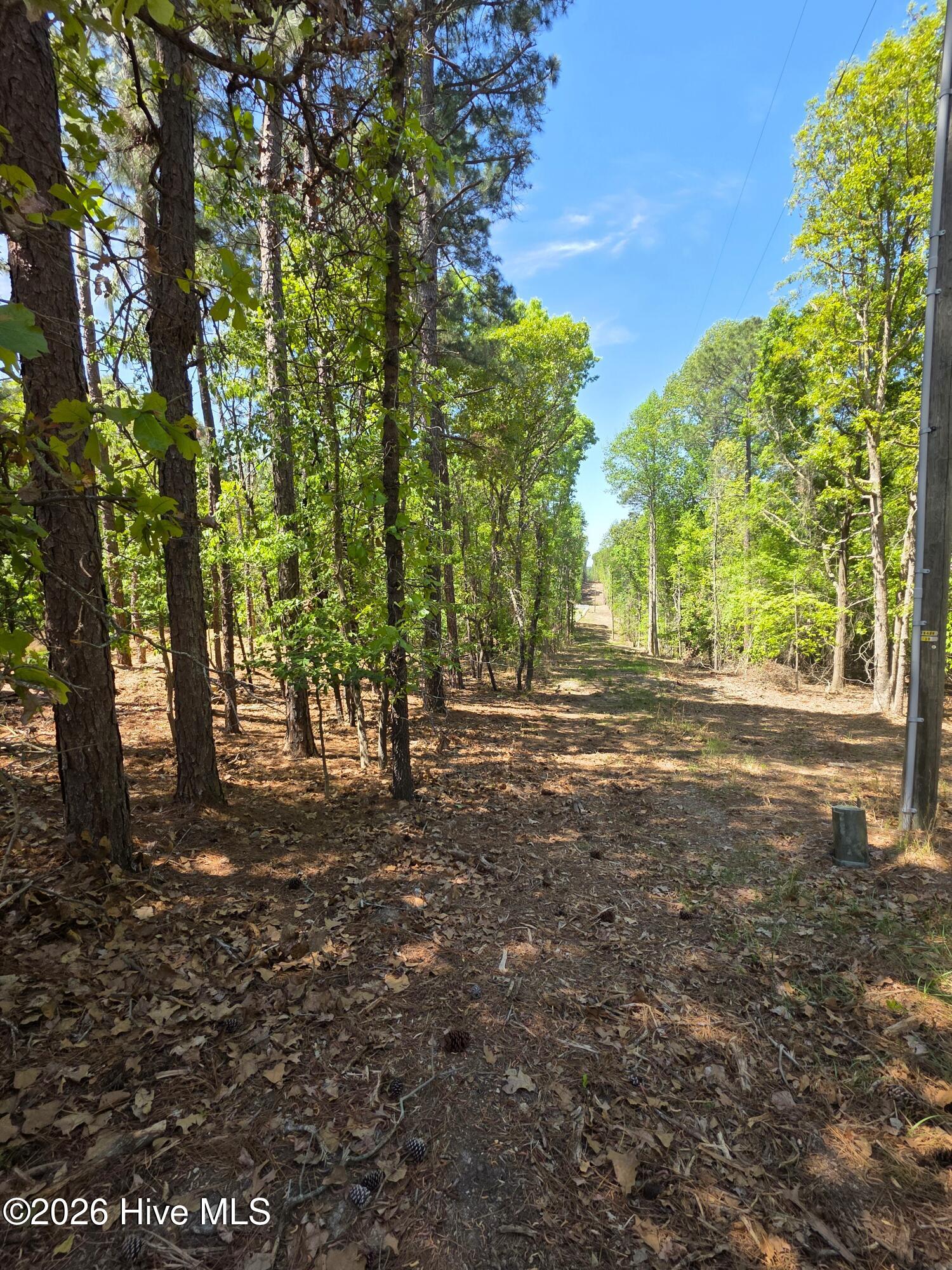 188 Shagbark Road, Seven Lakes, NC, 27376