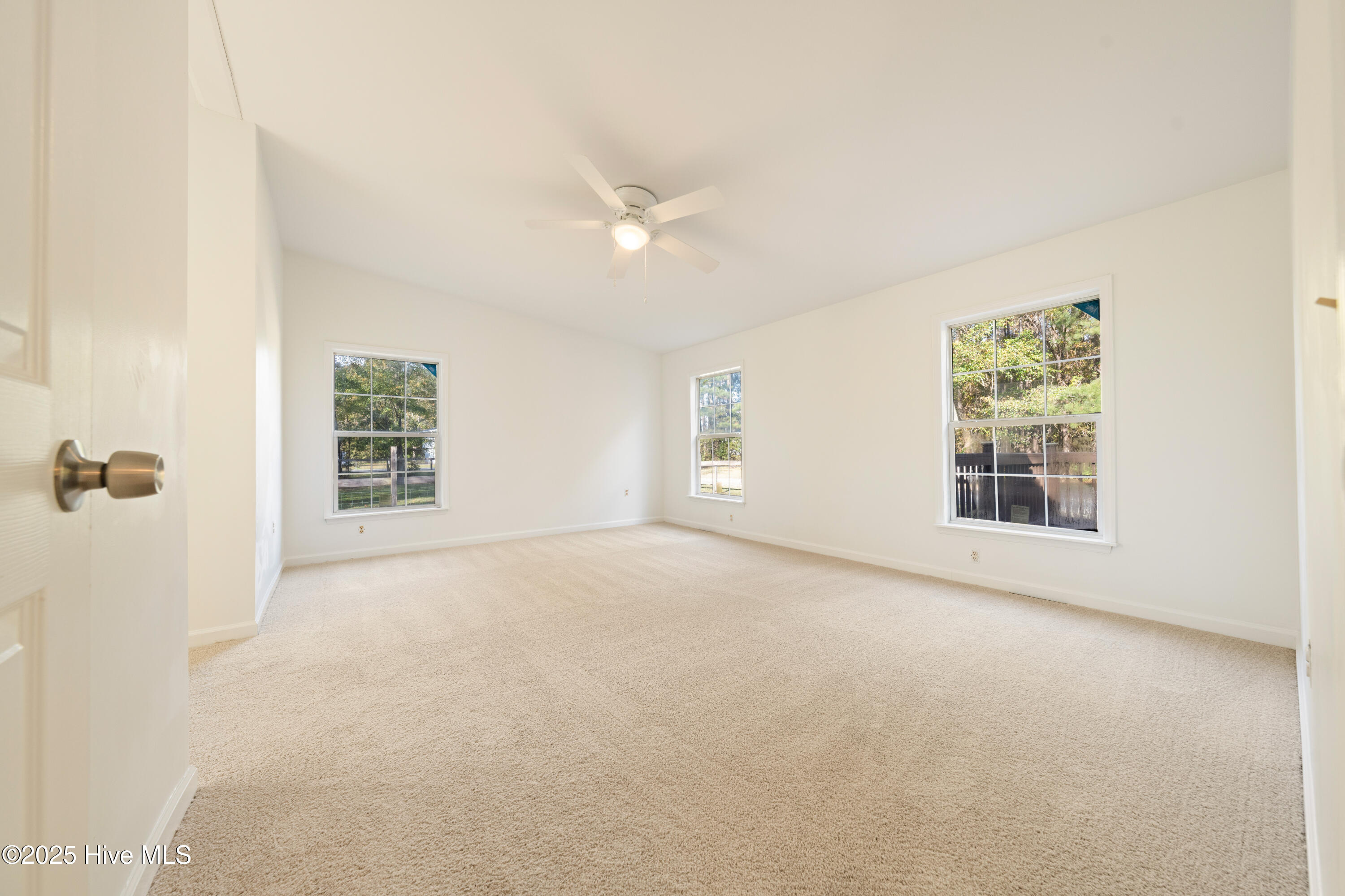 100541471 | Photo 17