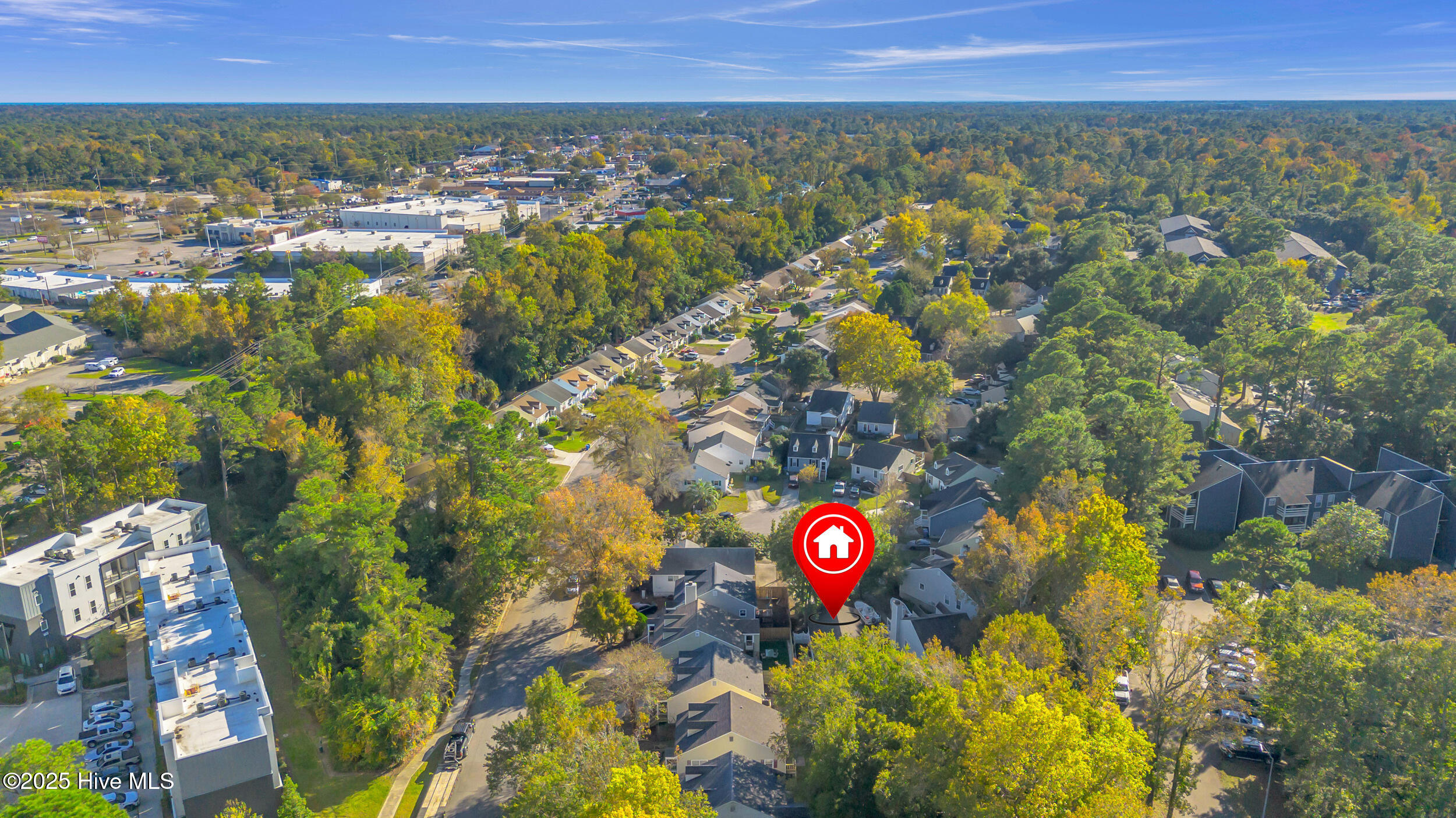 100540168 | Photo 41