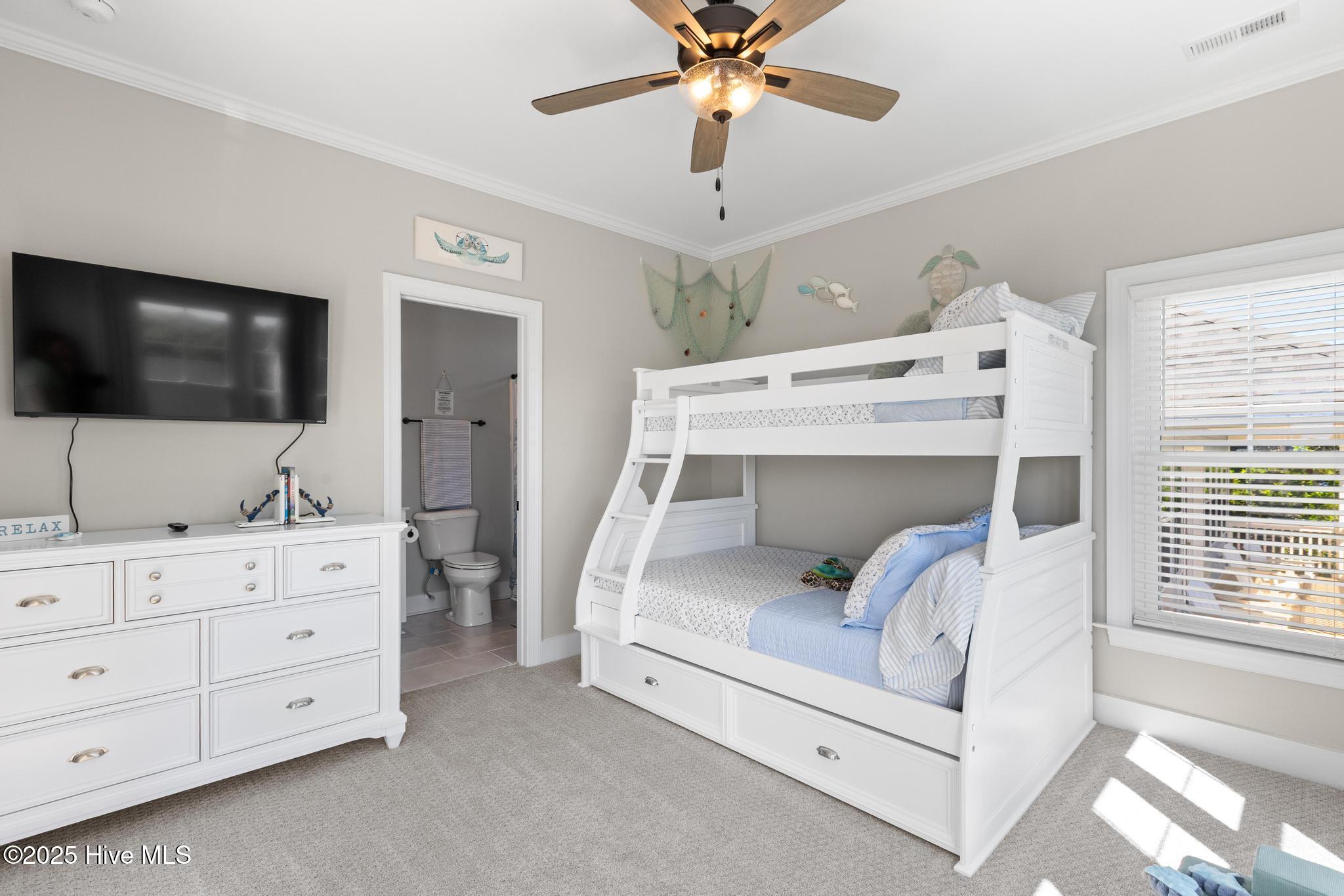 100498543 | Photo 48