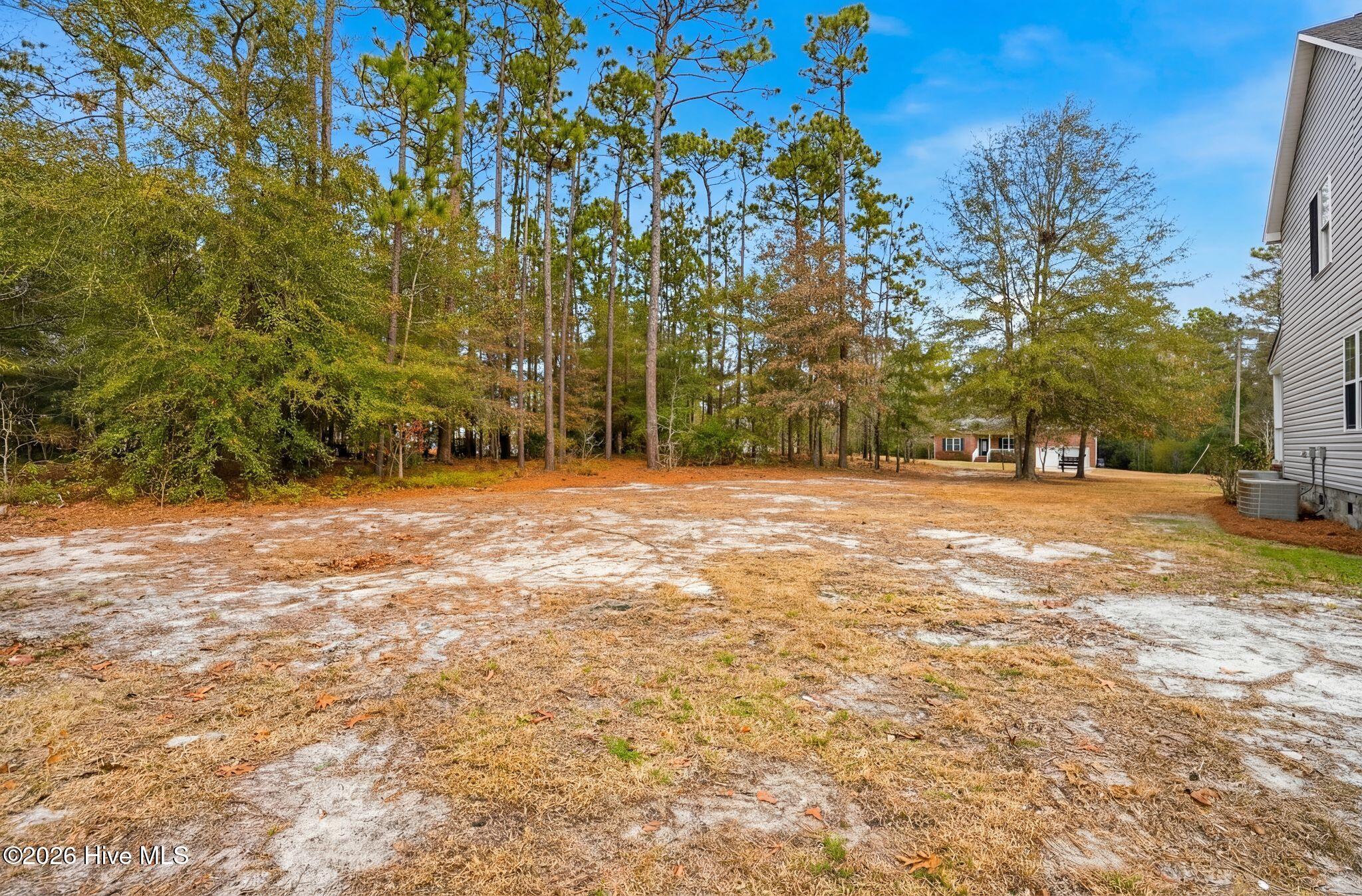 100557093 | Photo 79