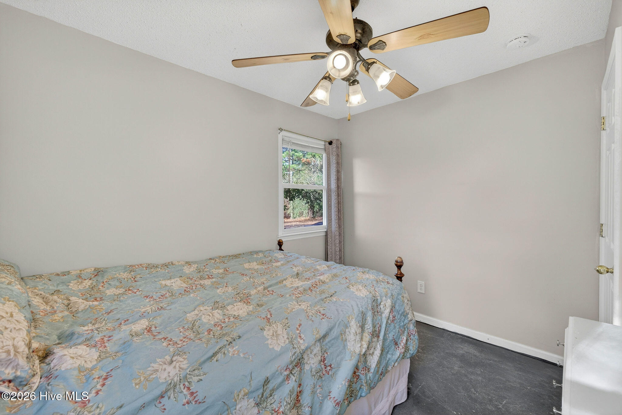 100547847 | Photo 23