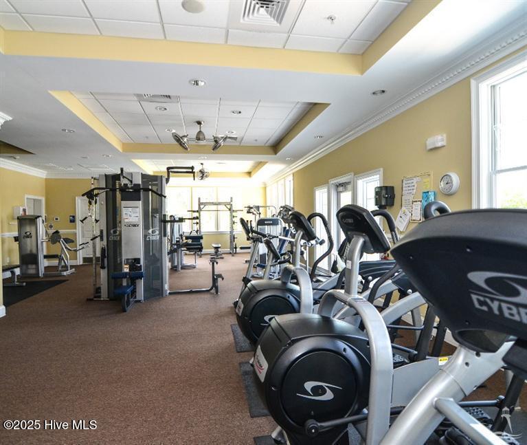 100493964 | Photo 33