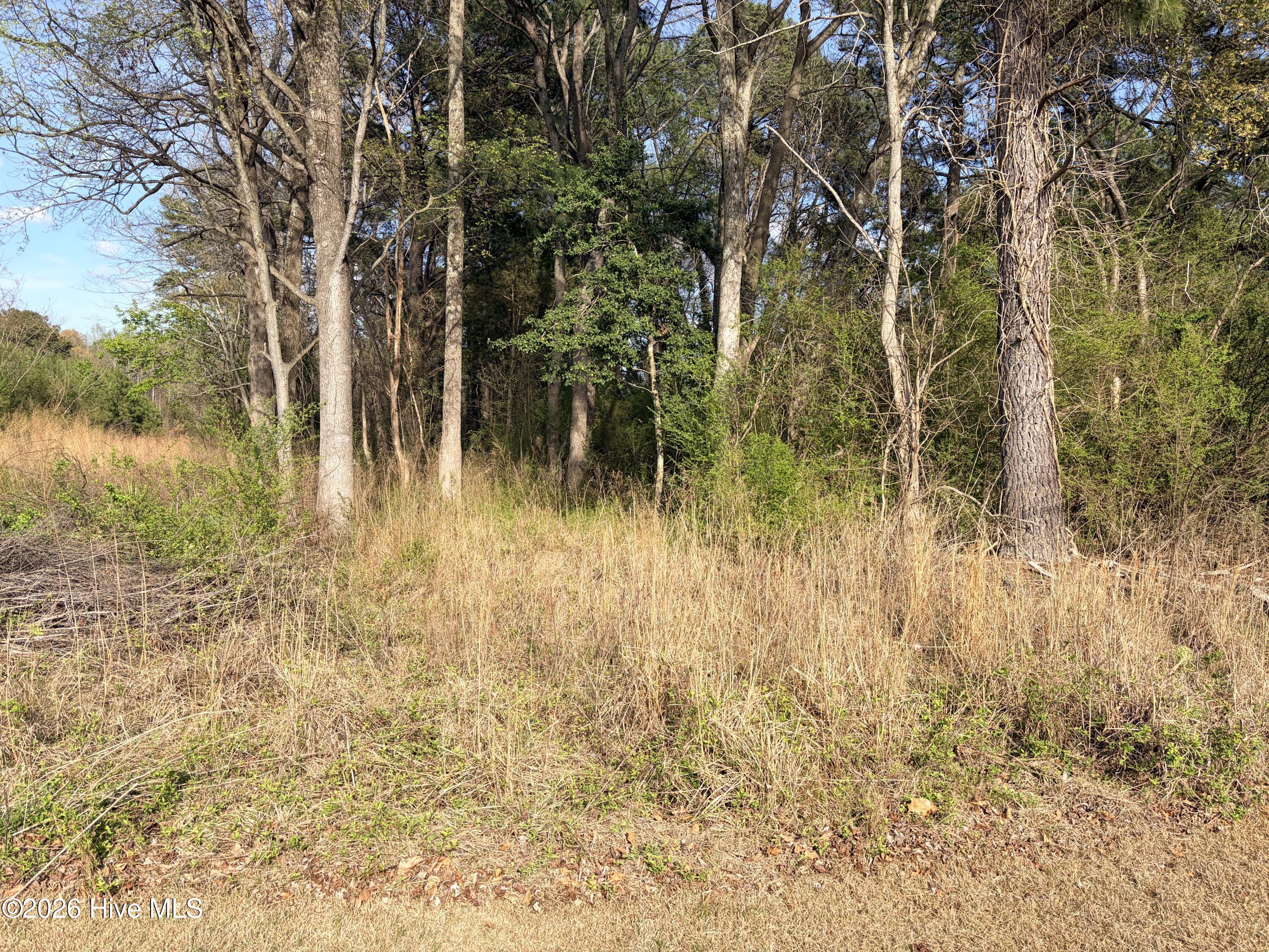 Lot D Newtown Road, Washington, GA, 30673