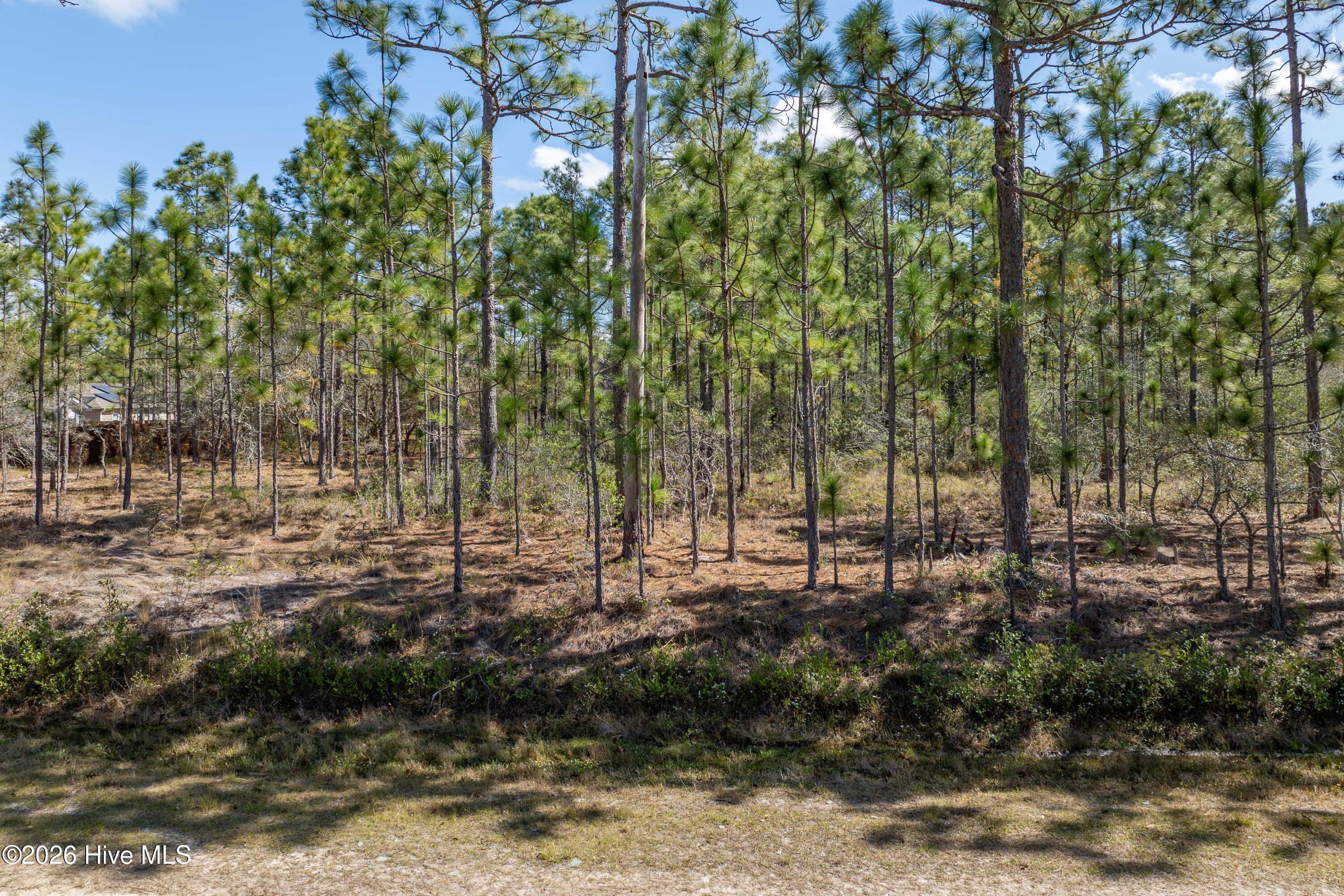 100563736 | Photo 17