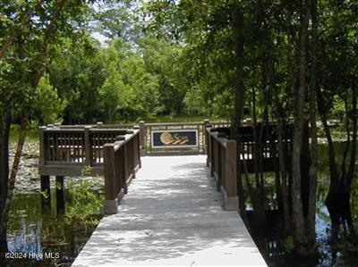 100548442 | Photo 18