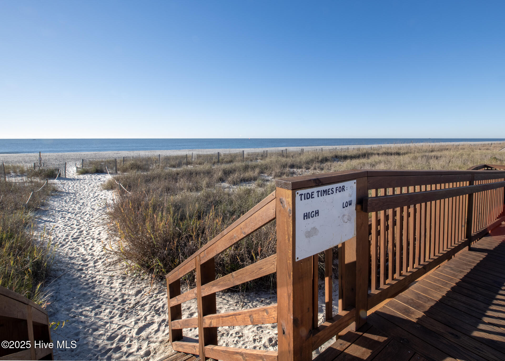 100530246 | Photo 57