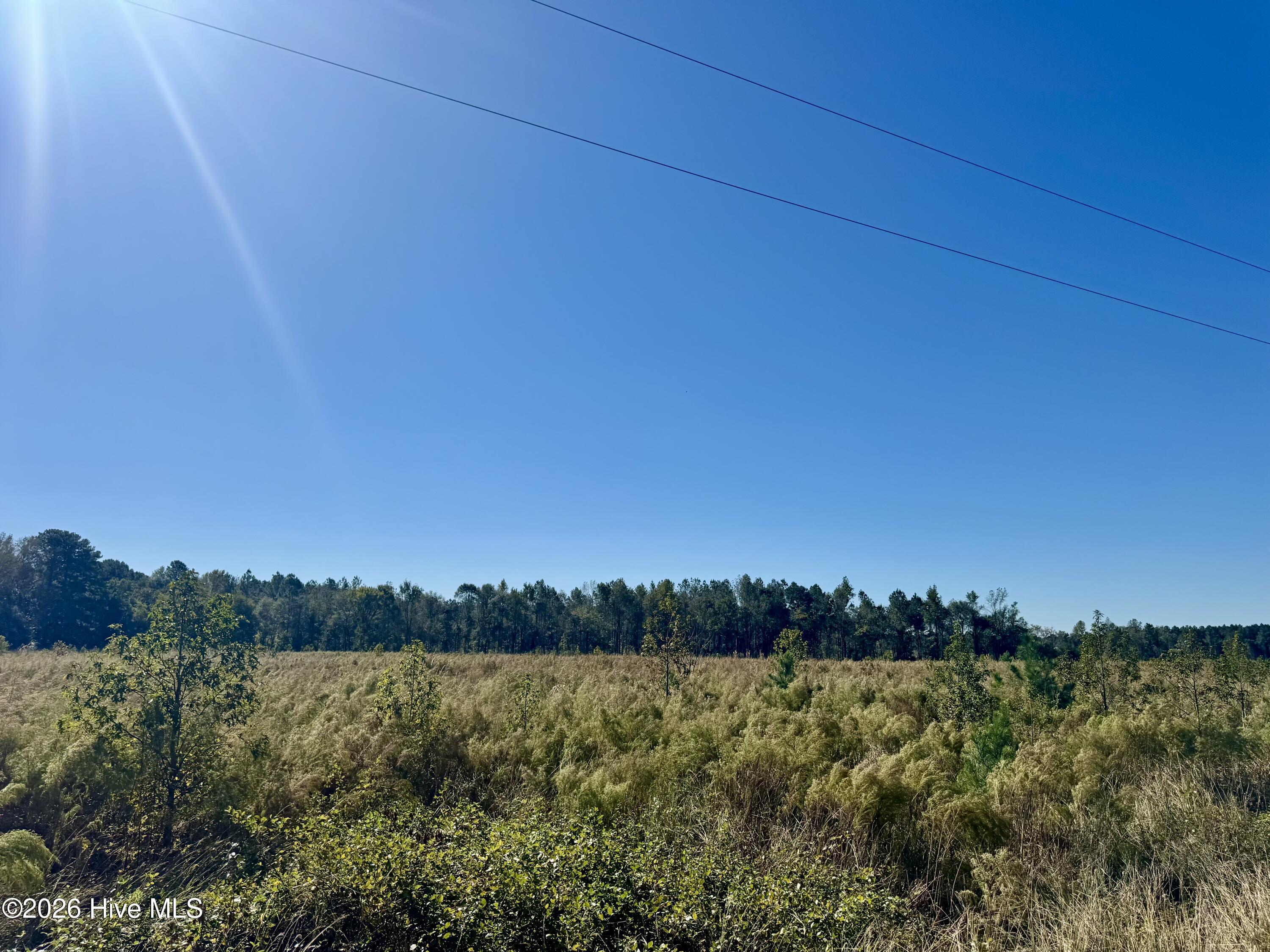 Homes for sale in Garland, NC | 0 Old Fayetteville Rd, Garland, NC 28441 | MLS# 100560570